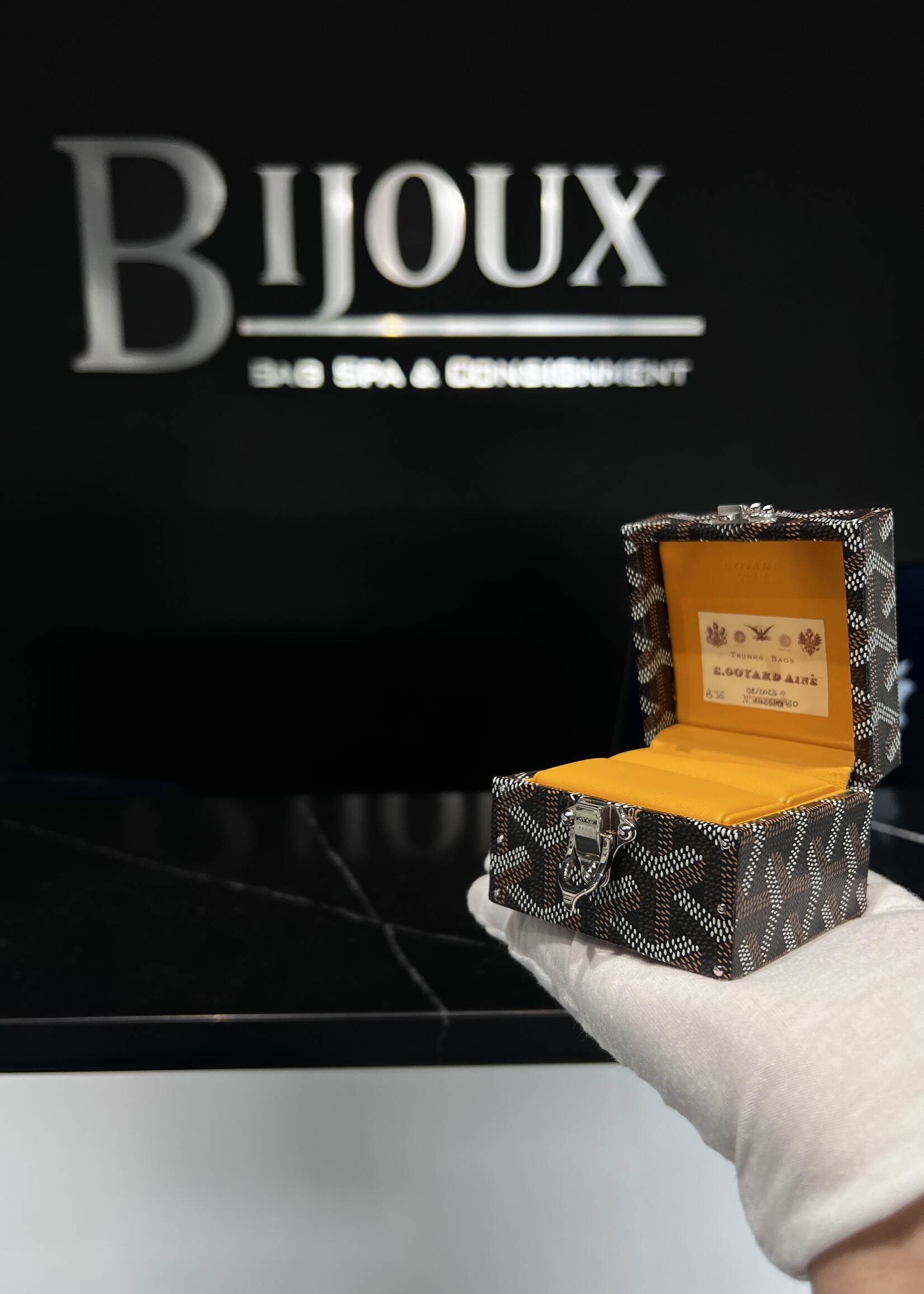 Goyard SOLD - Goyard Ring Box Trunk