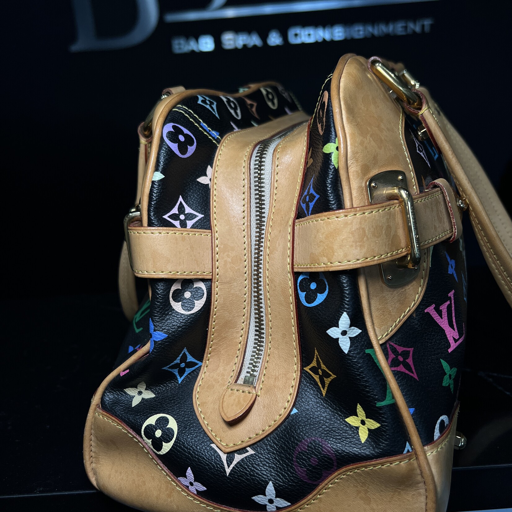 Louis Vuitton SOLD - Louis Vuitton Claudia Murakami Multicolour