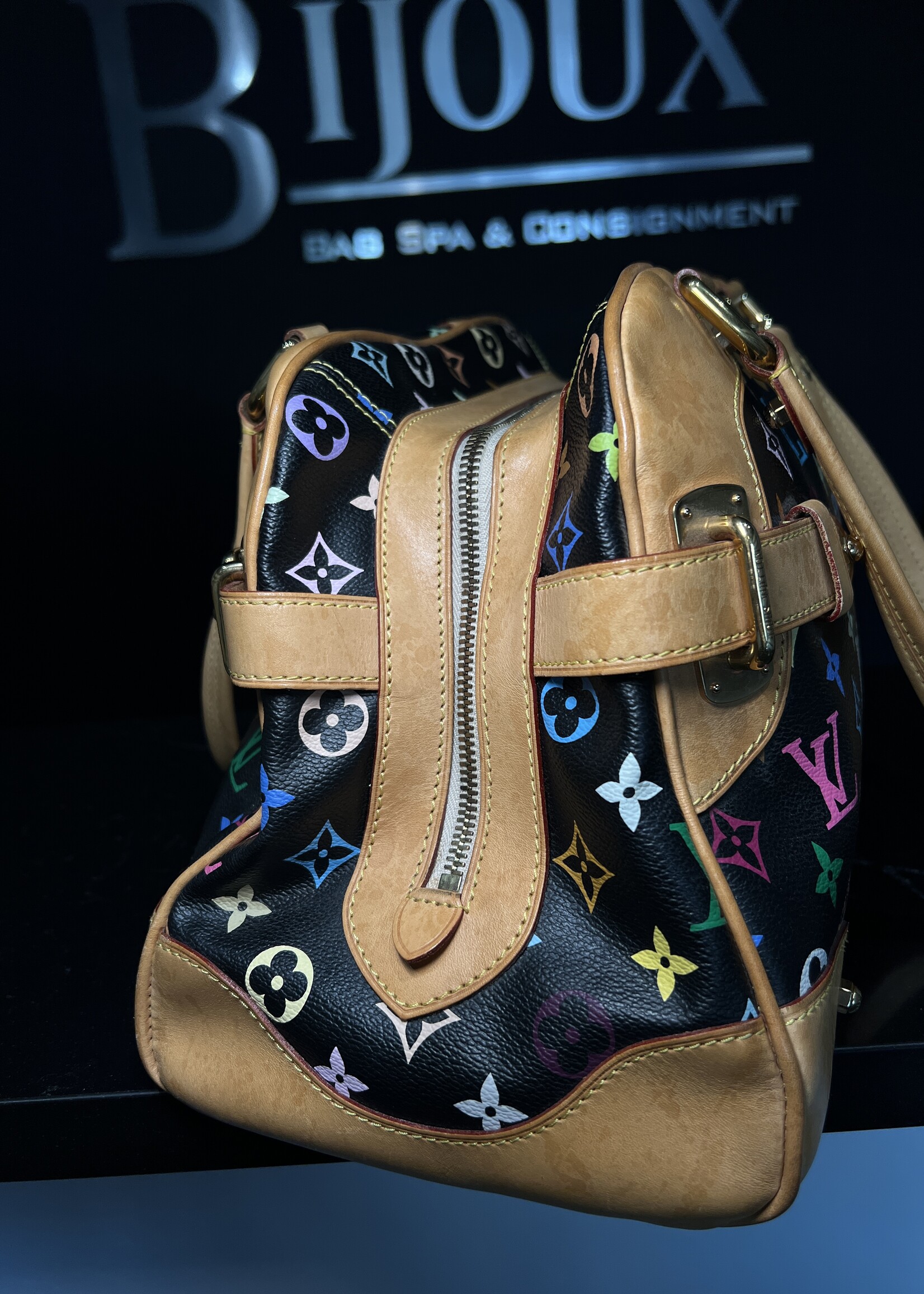 Louis Vuitton SOLD - Louis Vuitton Claudia Murakami Multicolour