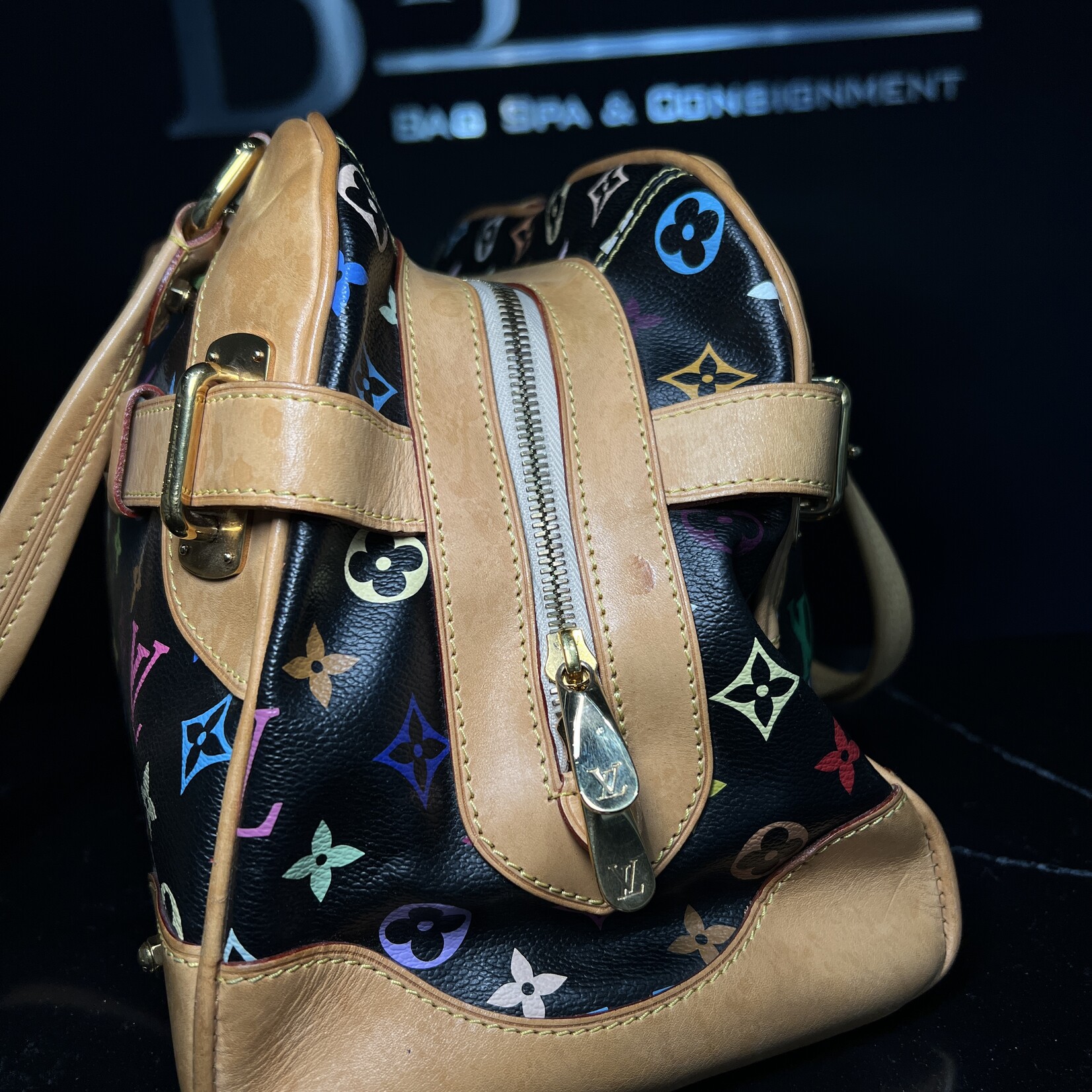 Louis Vuitton SOLD - Louis Vuitton Claudia Murakami Multicolour