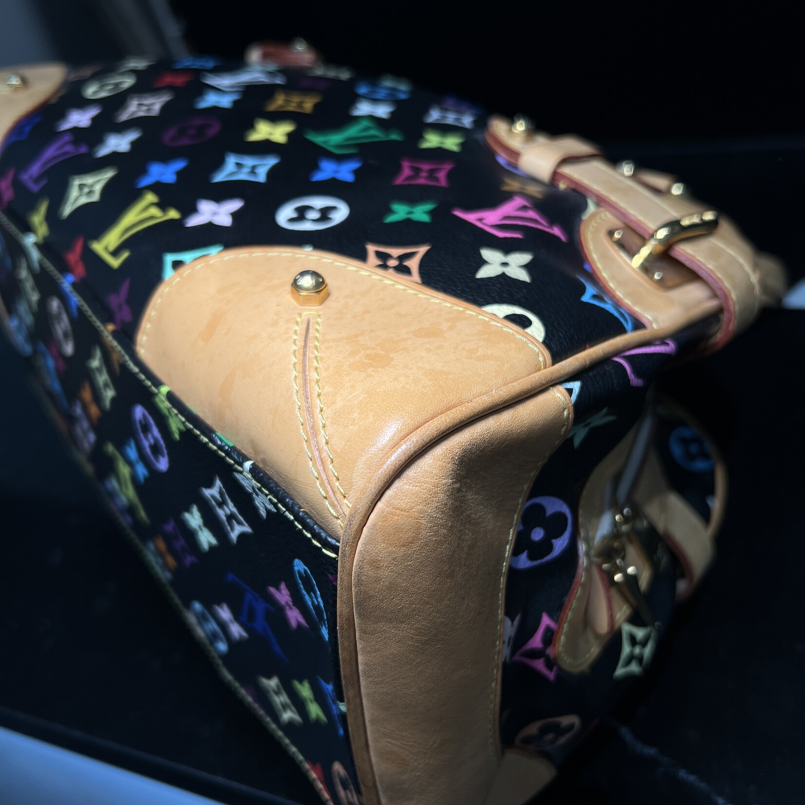 Louis Vuitton SOLD - Louis Vuitton Claudia Murakami Multicolour