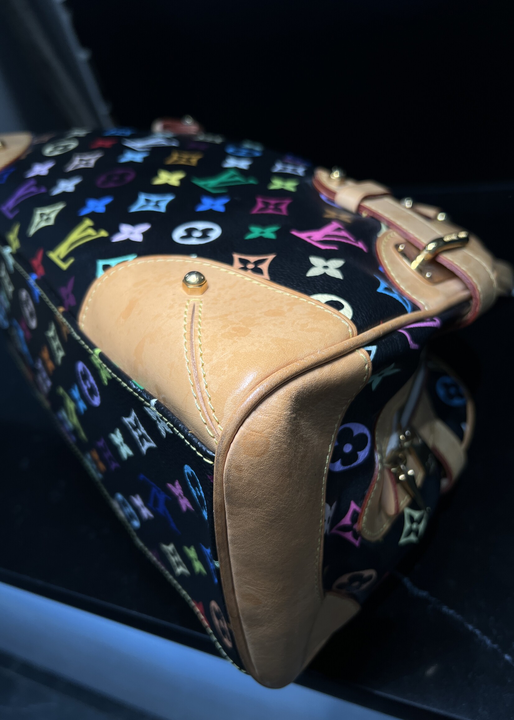 Louis Vuitton SOLD - Louis Vuitton Claudia Murakami Multicolour
