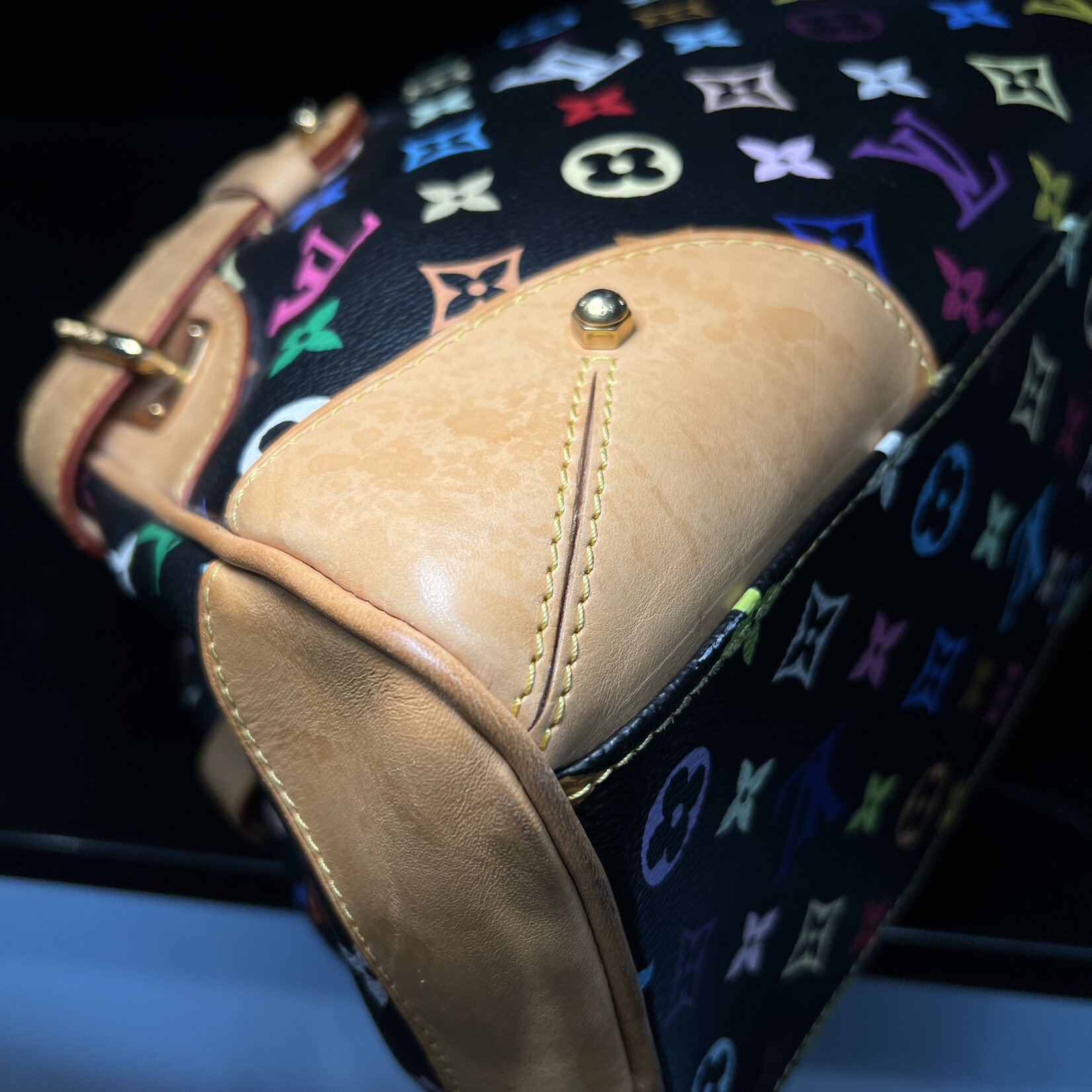 Louis Vuitton SOLD - Louis Vuitton Claudia Murakami Multicolour