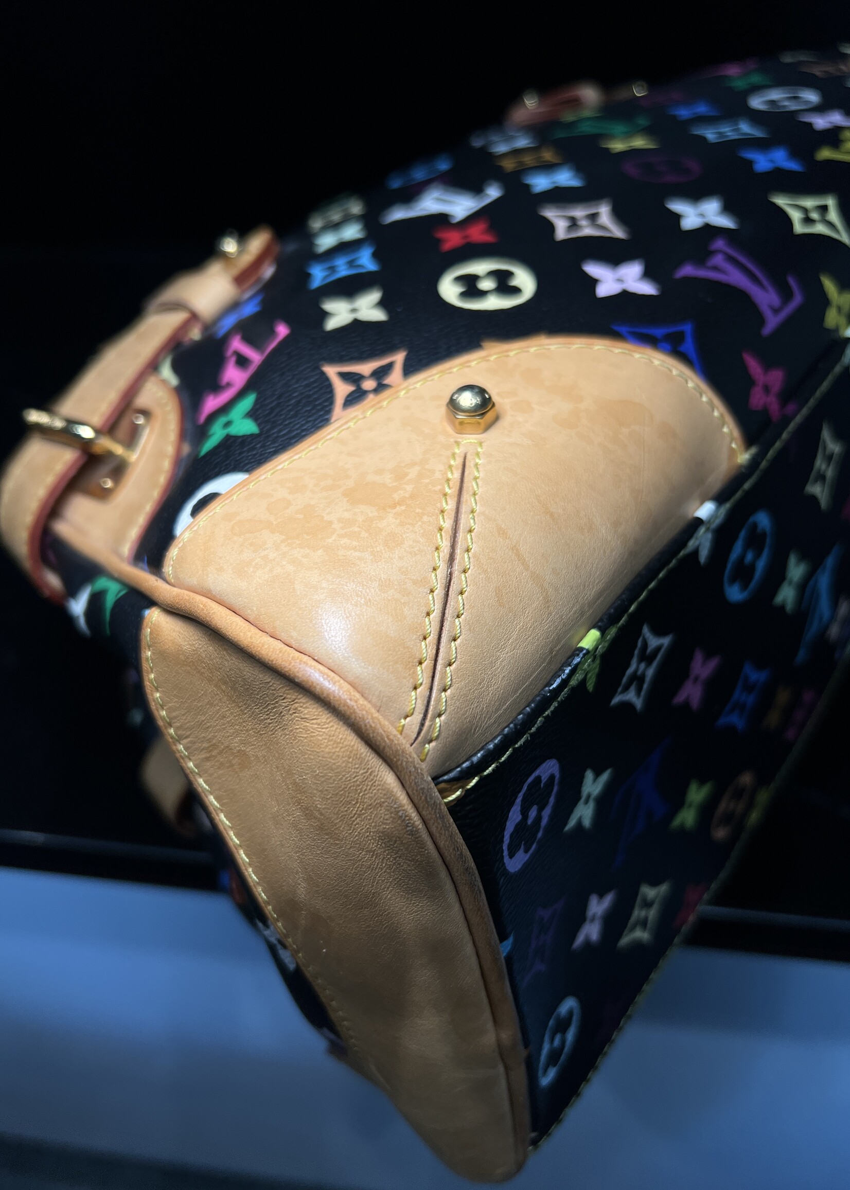 Louis Vuitton SOLD - Louis Vuitton Claudia Murakami Multicolour