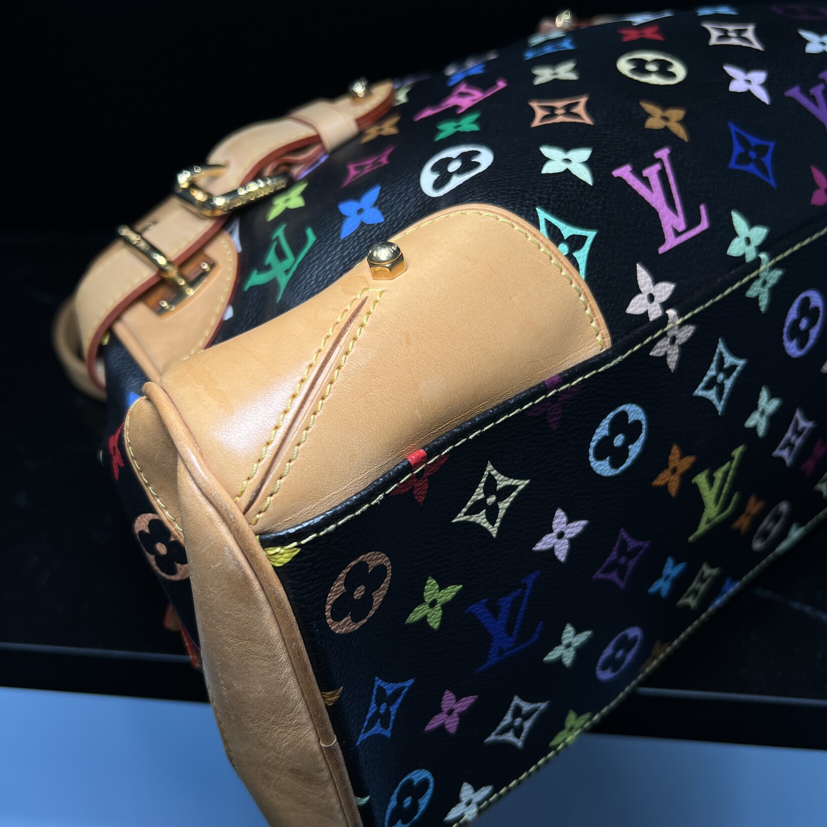 Louis Vuitton SOLD - Louis Vuitton Claudia Murakami Multicolour