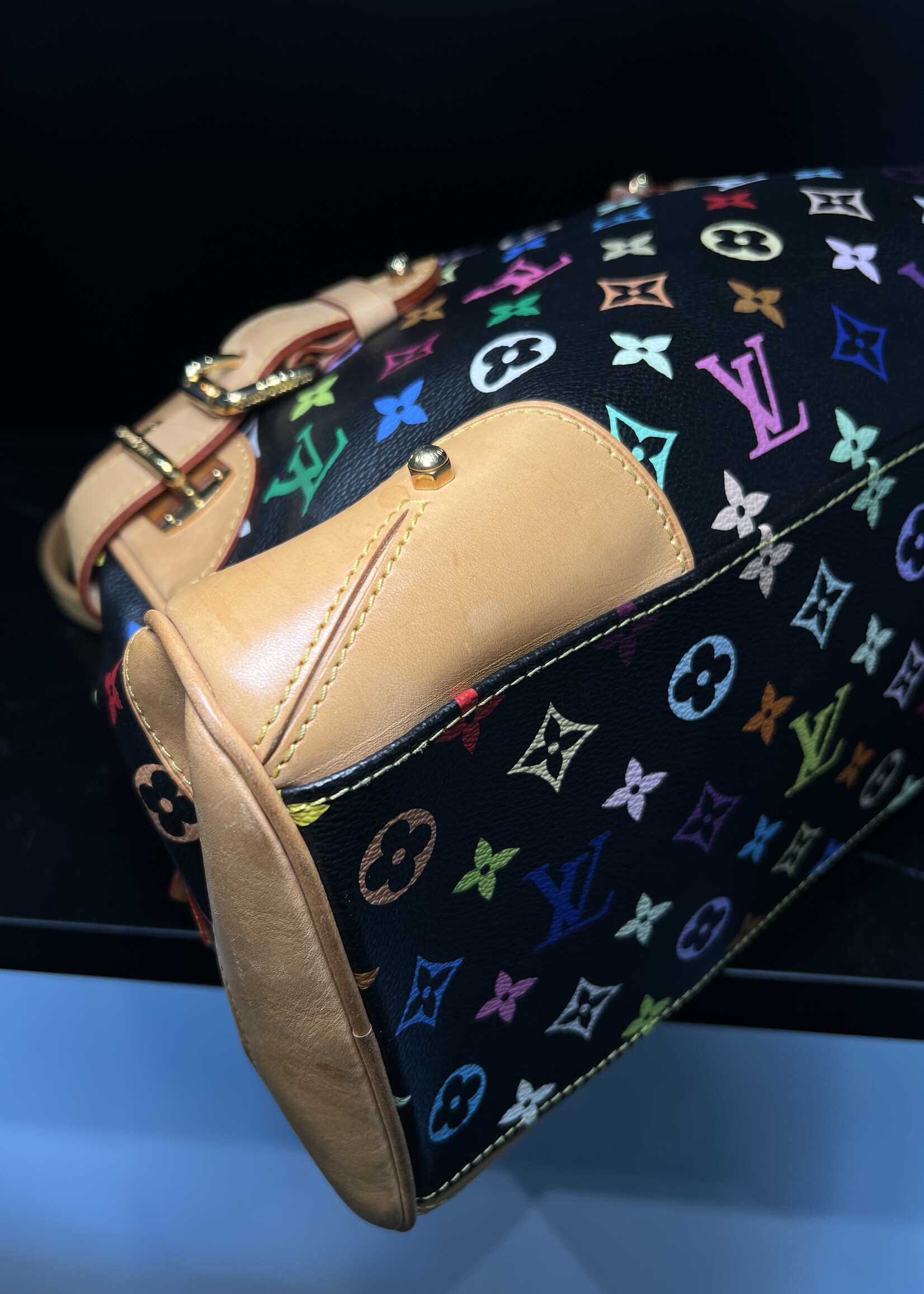 Louis Vuitton SOLD - Louis Vuitton Claudia Murakami Multicolour