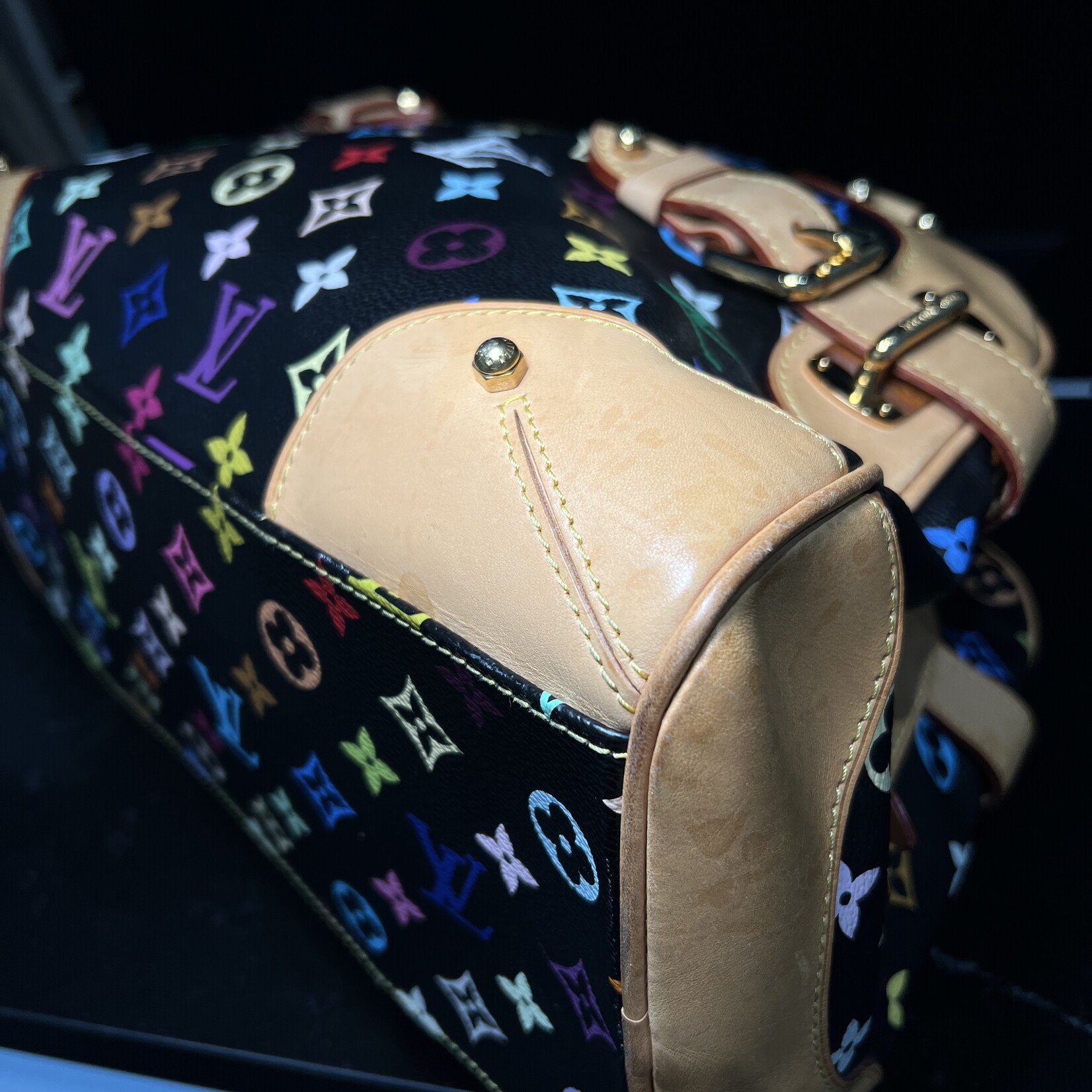Louis Vuitton SOLD - Louis Vuitton Claudia Murakami Multicolour
