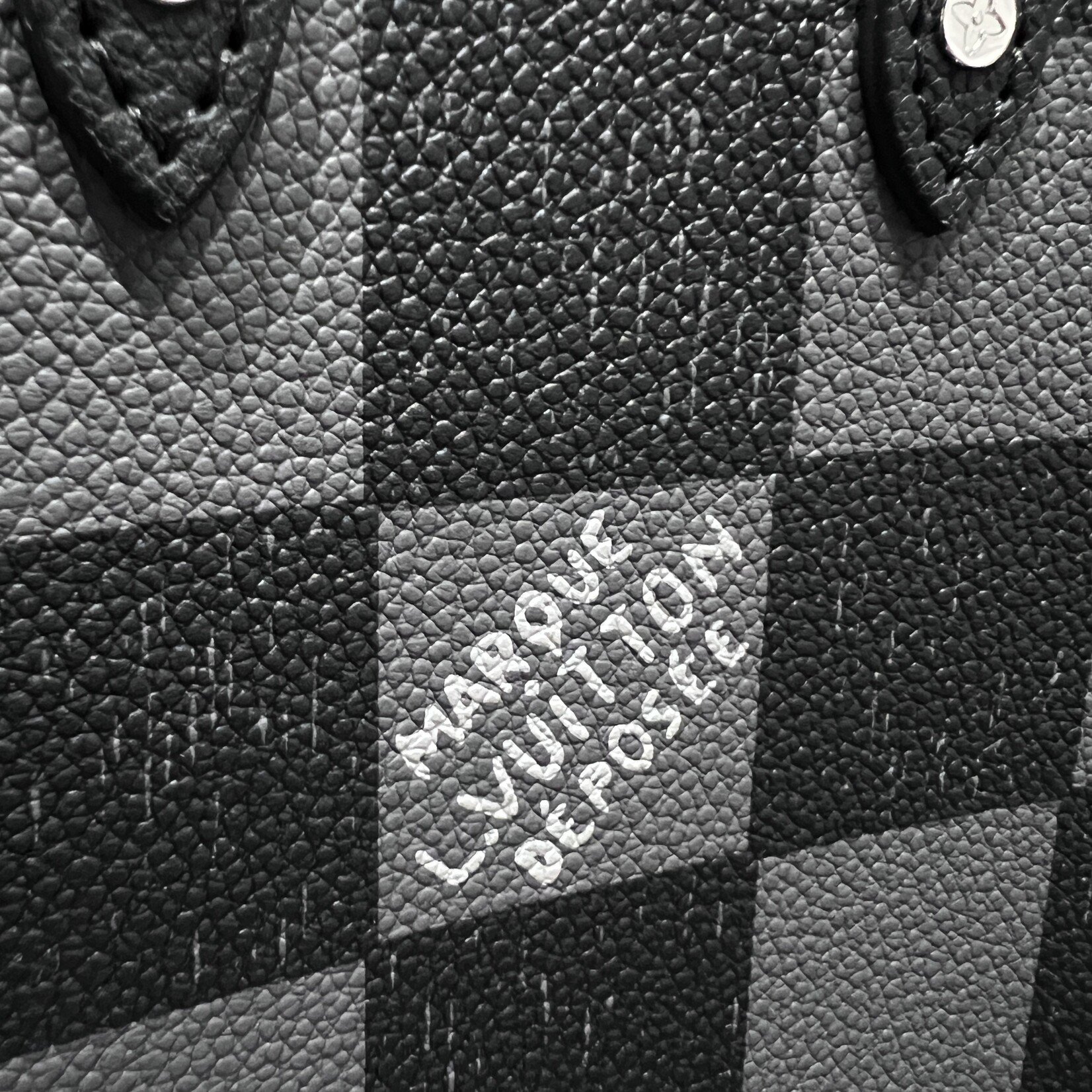 Louis Vuitton Louis Vuitton Sac Plat XS