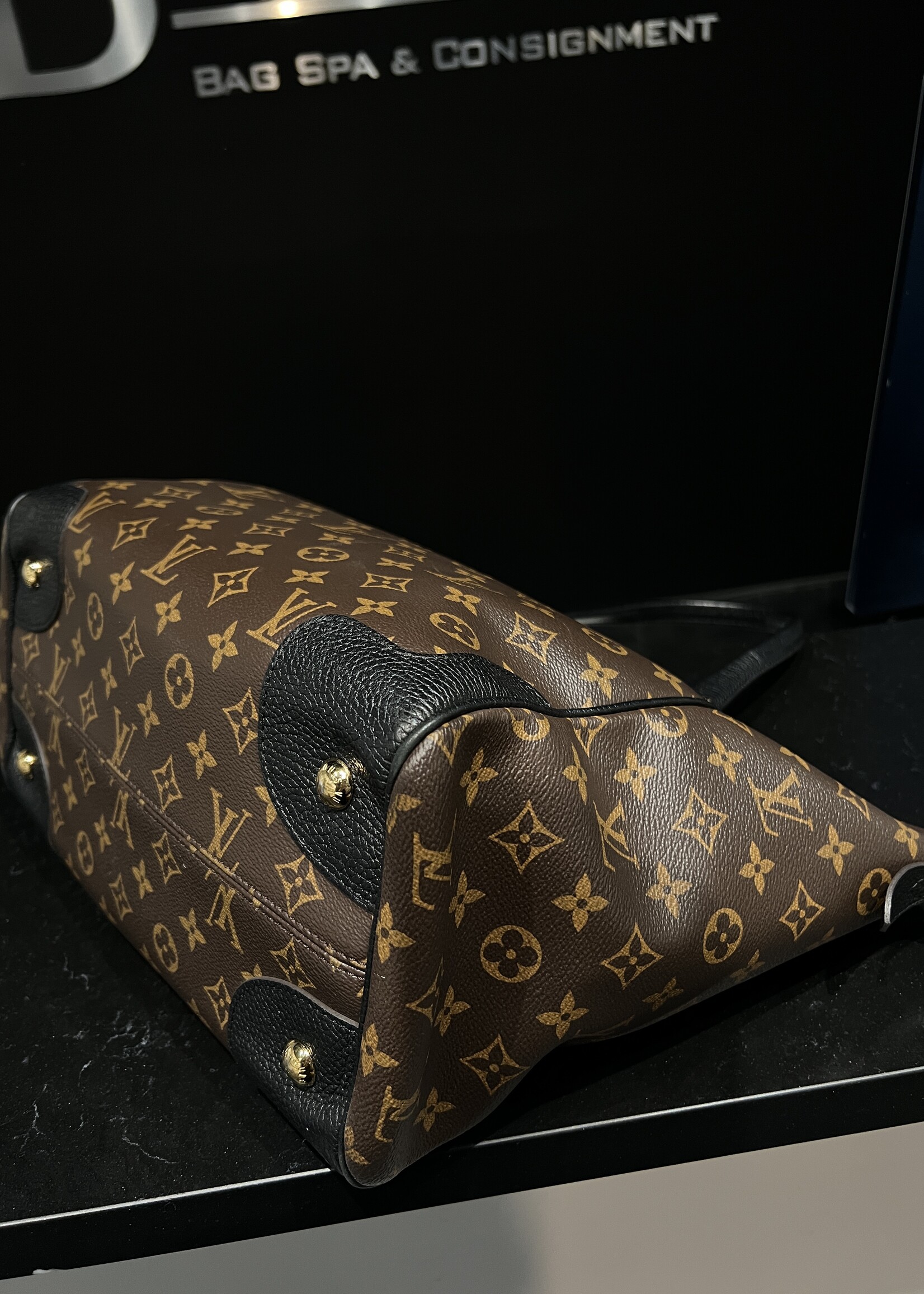 Louis Vuitton Louis Vuitton Estrella Leather