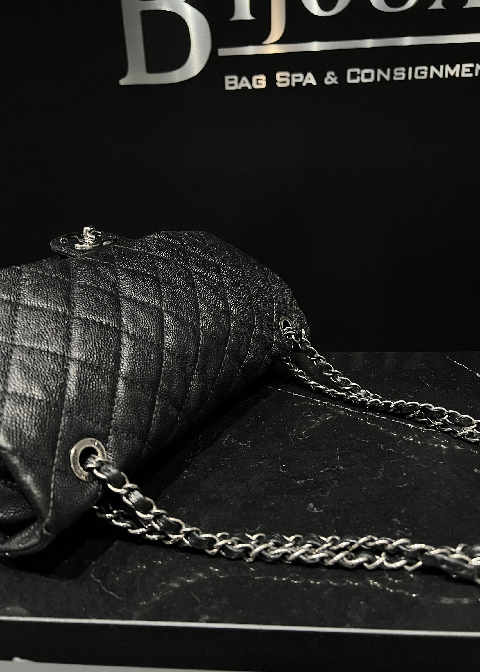 Chanel Chanel Seasonal Flap