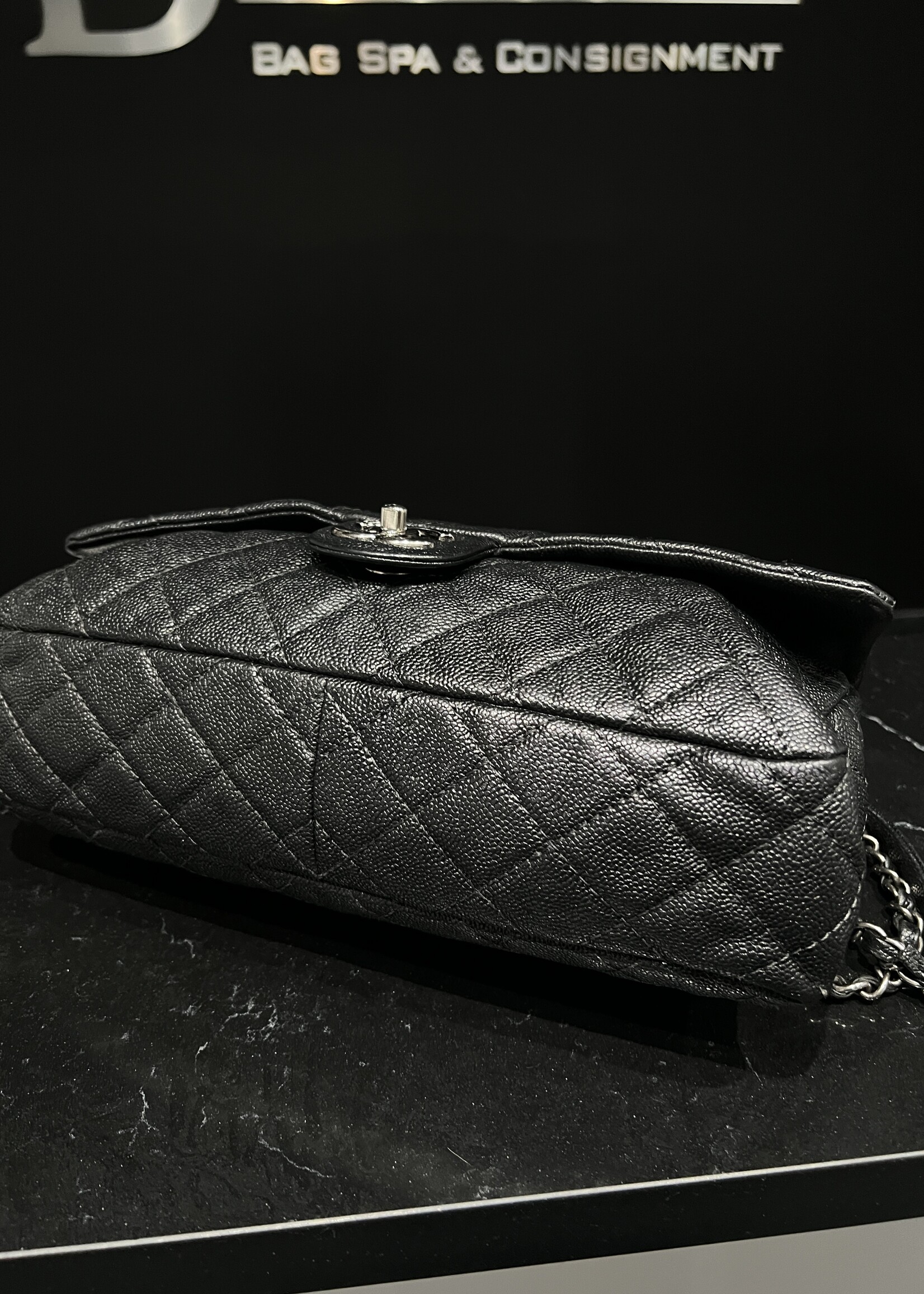 Chanel Chanel Seasonal Flap