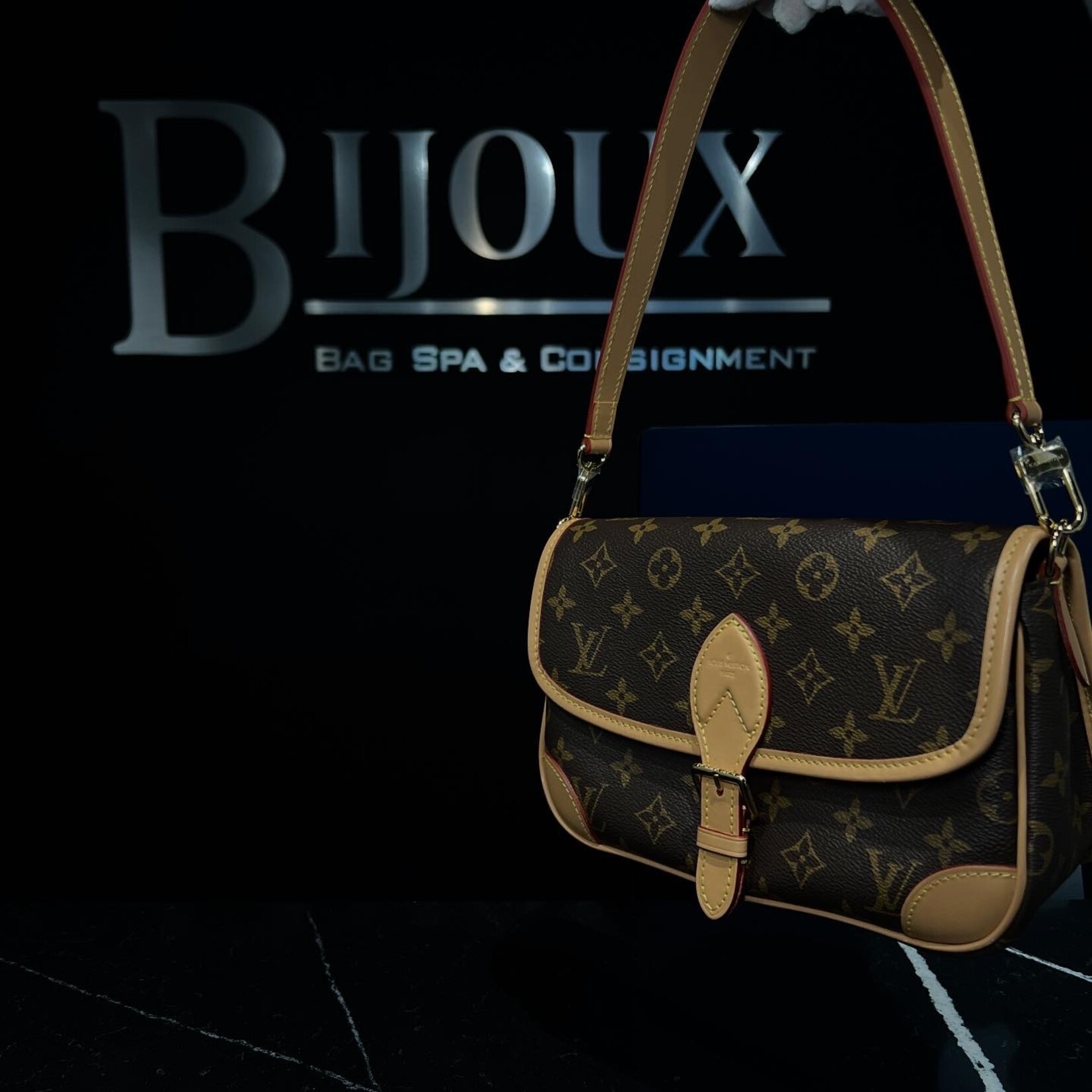 Louis Vuitton Louis Vuitton Diane