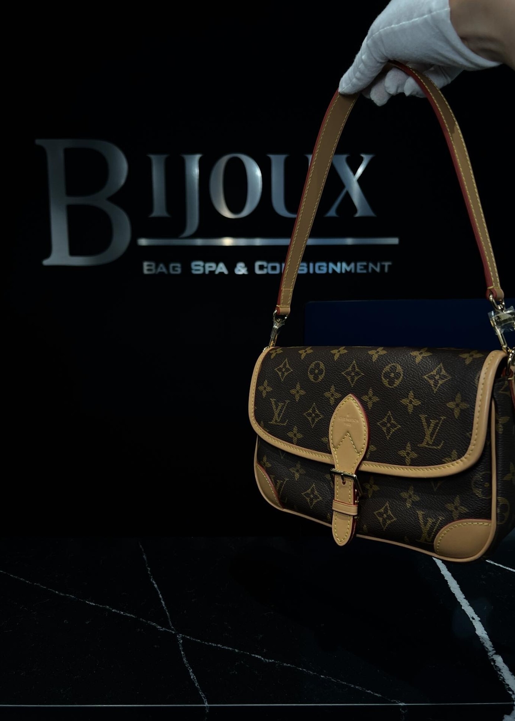 Louis Vuitton SOLD- Louis Vuitton Diane