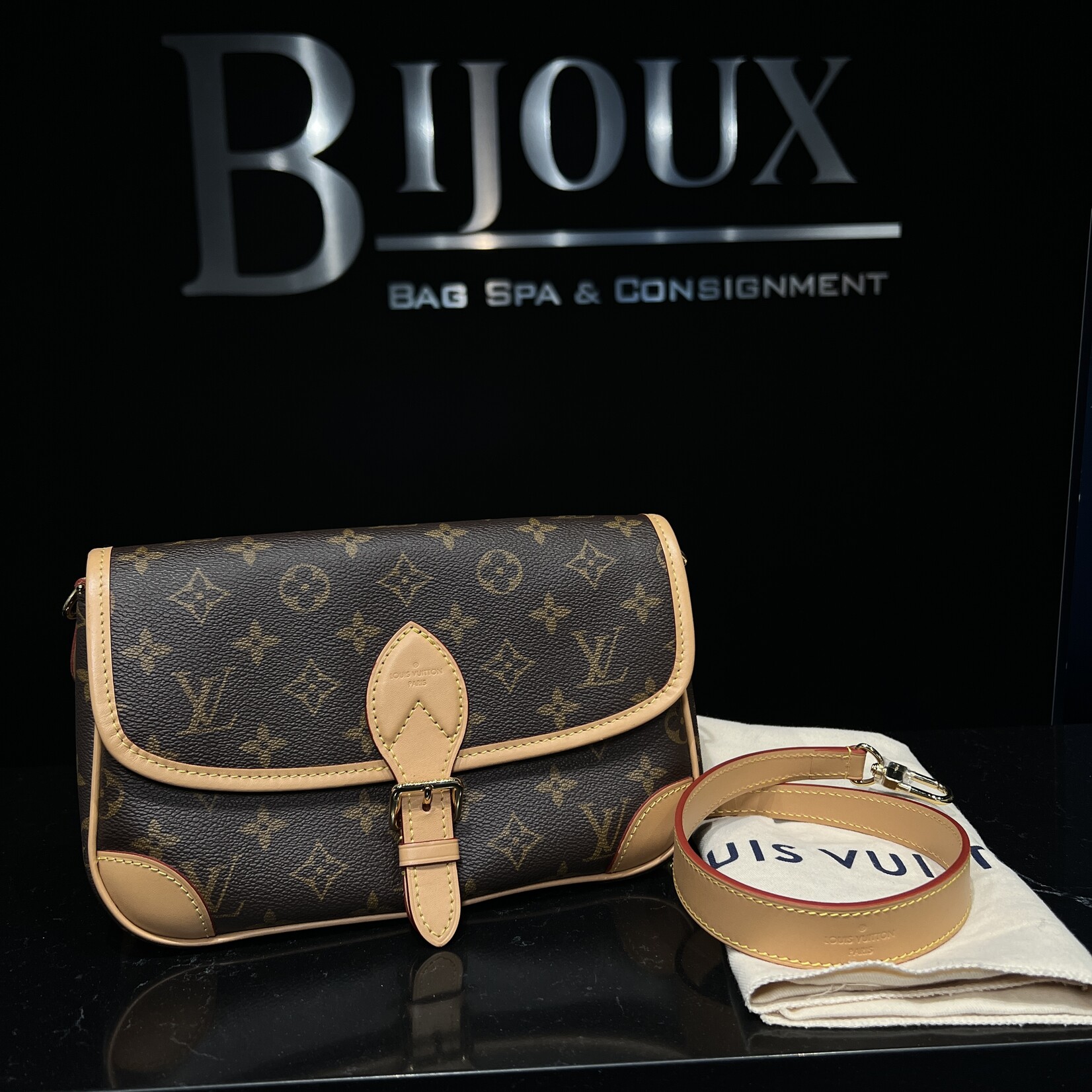 Louis Vuitton Louis Vuitton Diane