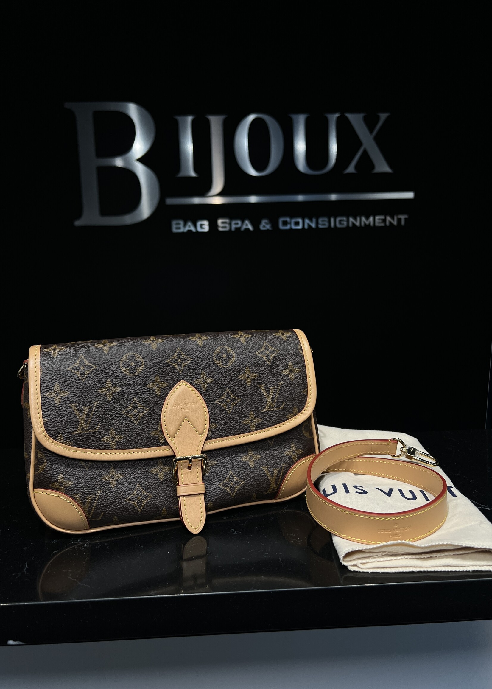 Louis Vuitton SOLD- Louis Vuitton Diane