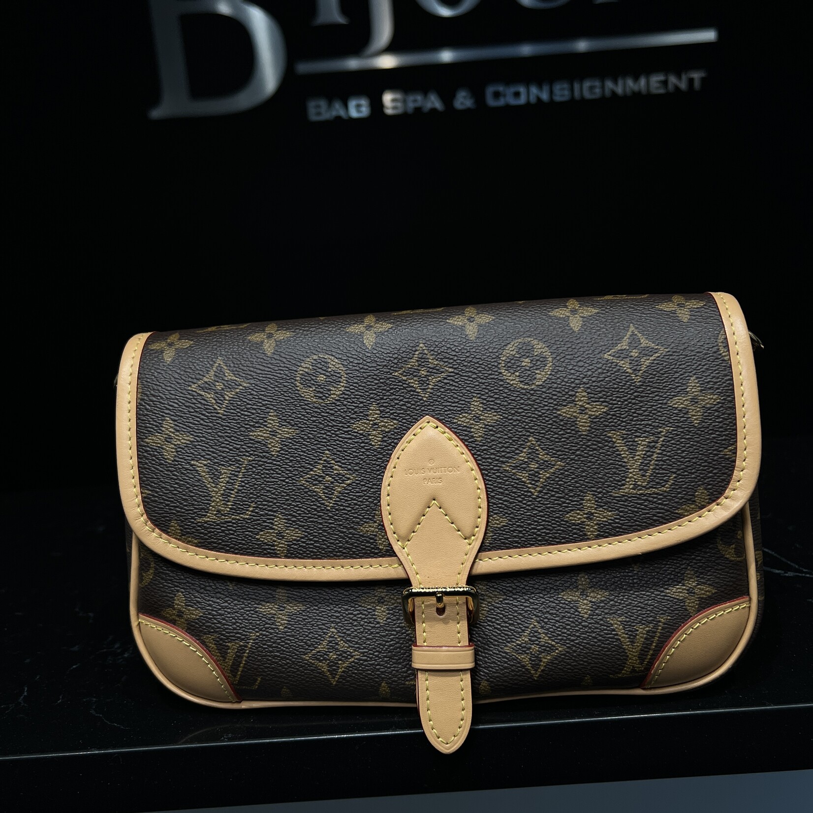 Louis Vuitton Louis Vuitton Diane