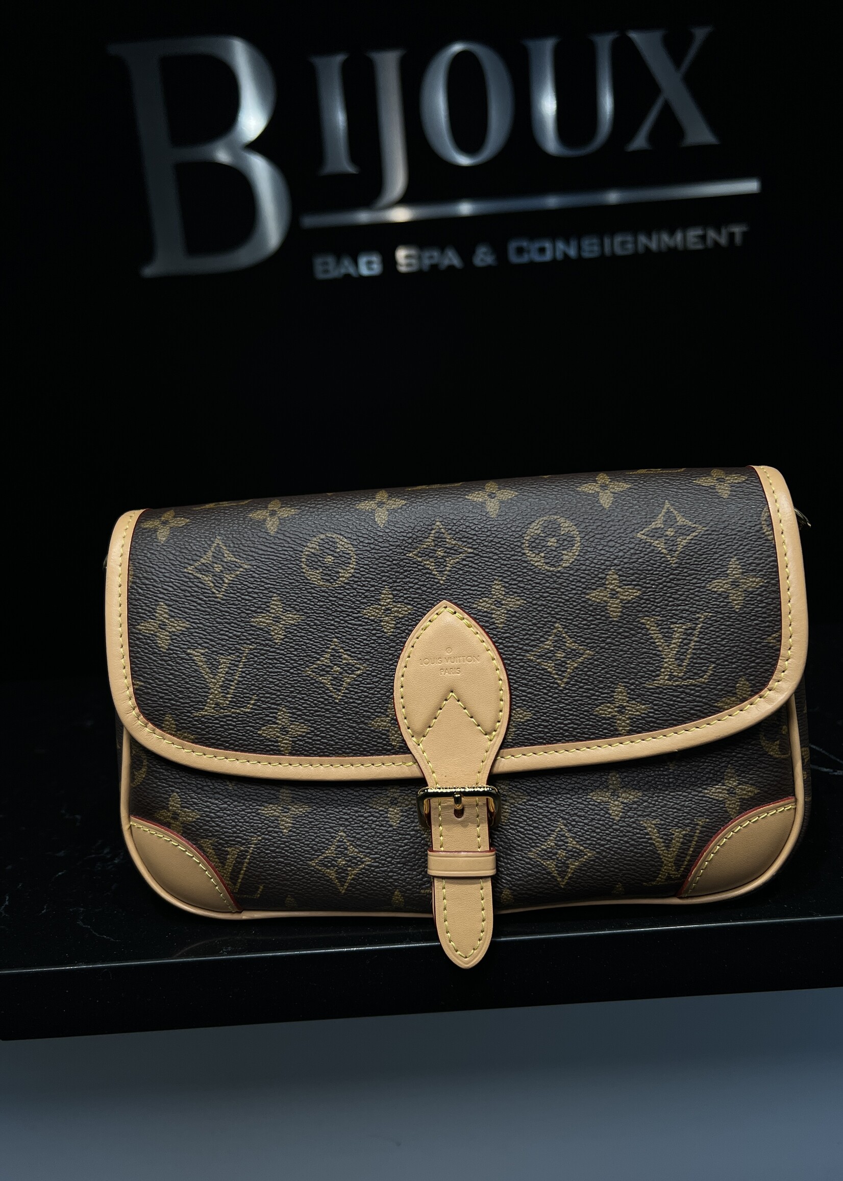 Louis Vuitton SOLD- Louis Vuitton Diane