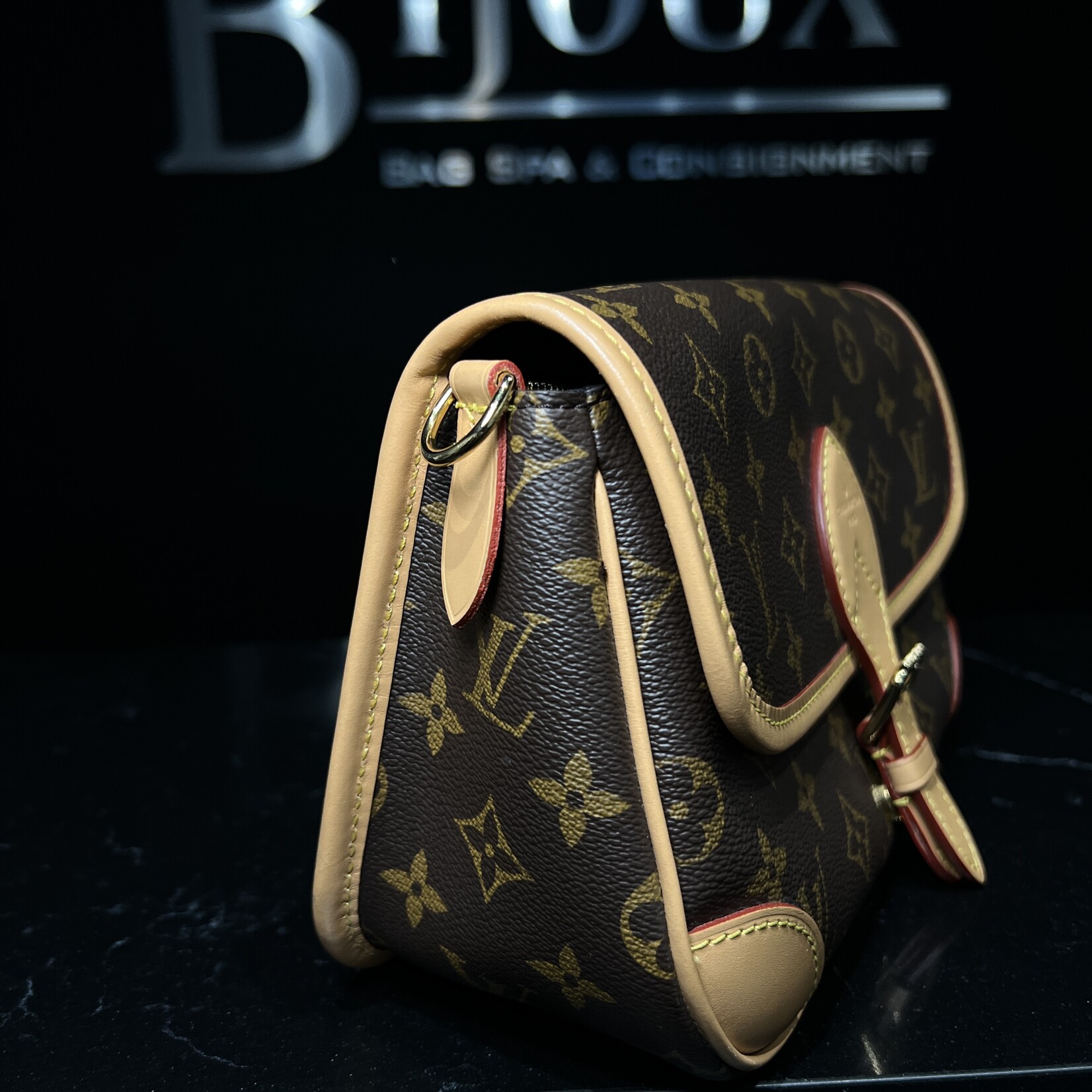 Louis Vuitton Louis Vuitton Diane