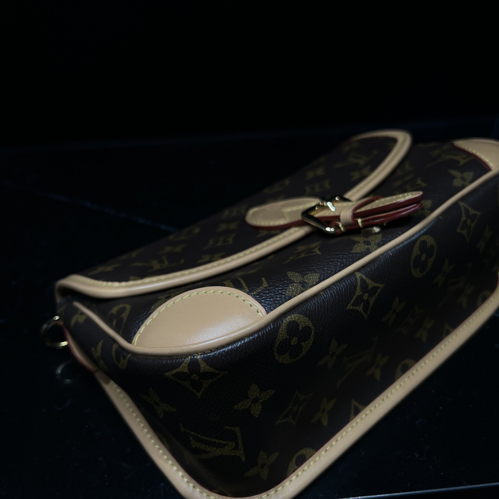 Louis Vuitton Louis Vuitton Diane