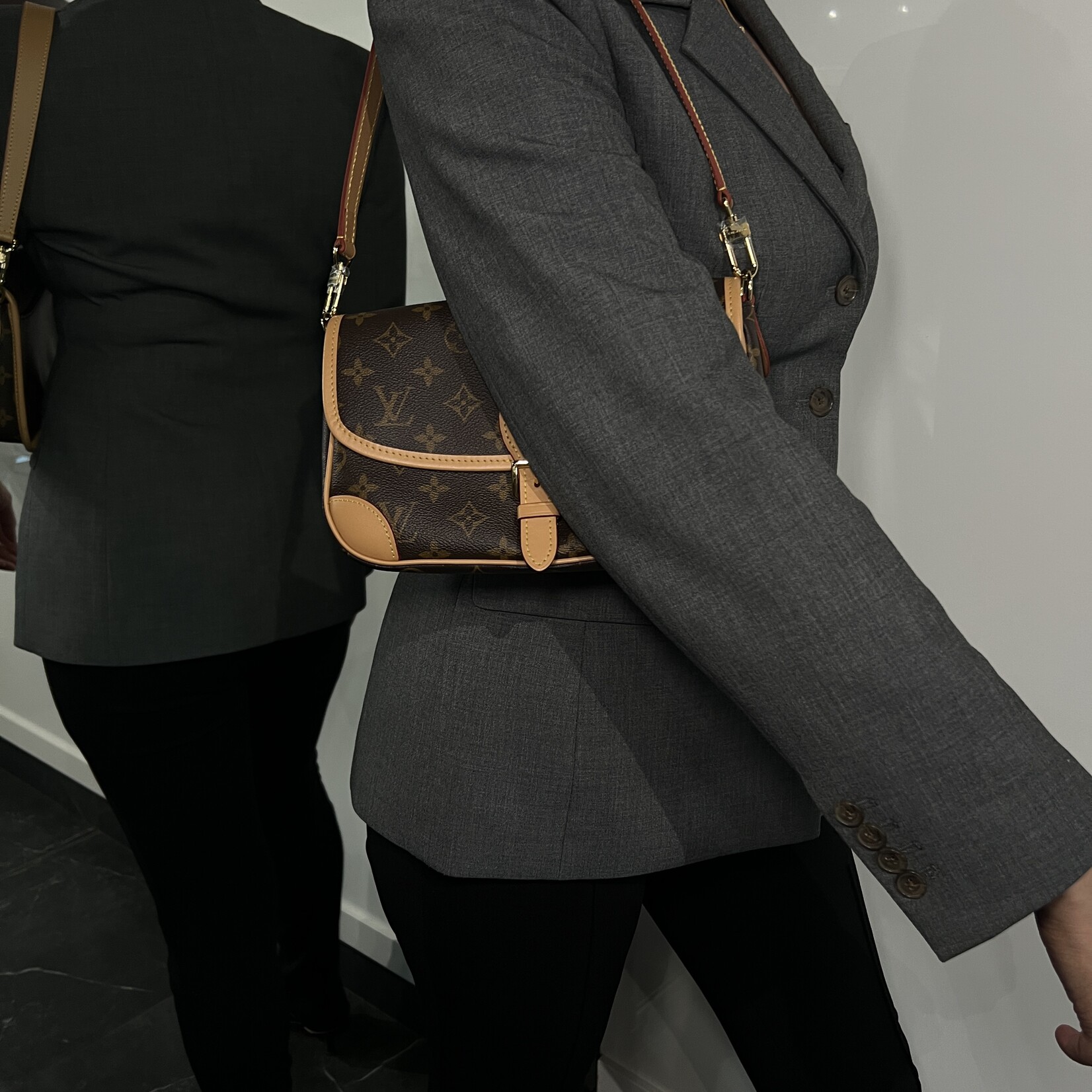 Louis Vuitton Louis Vuitton Diane