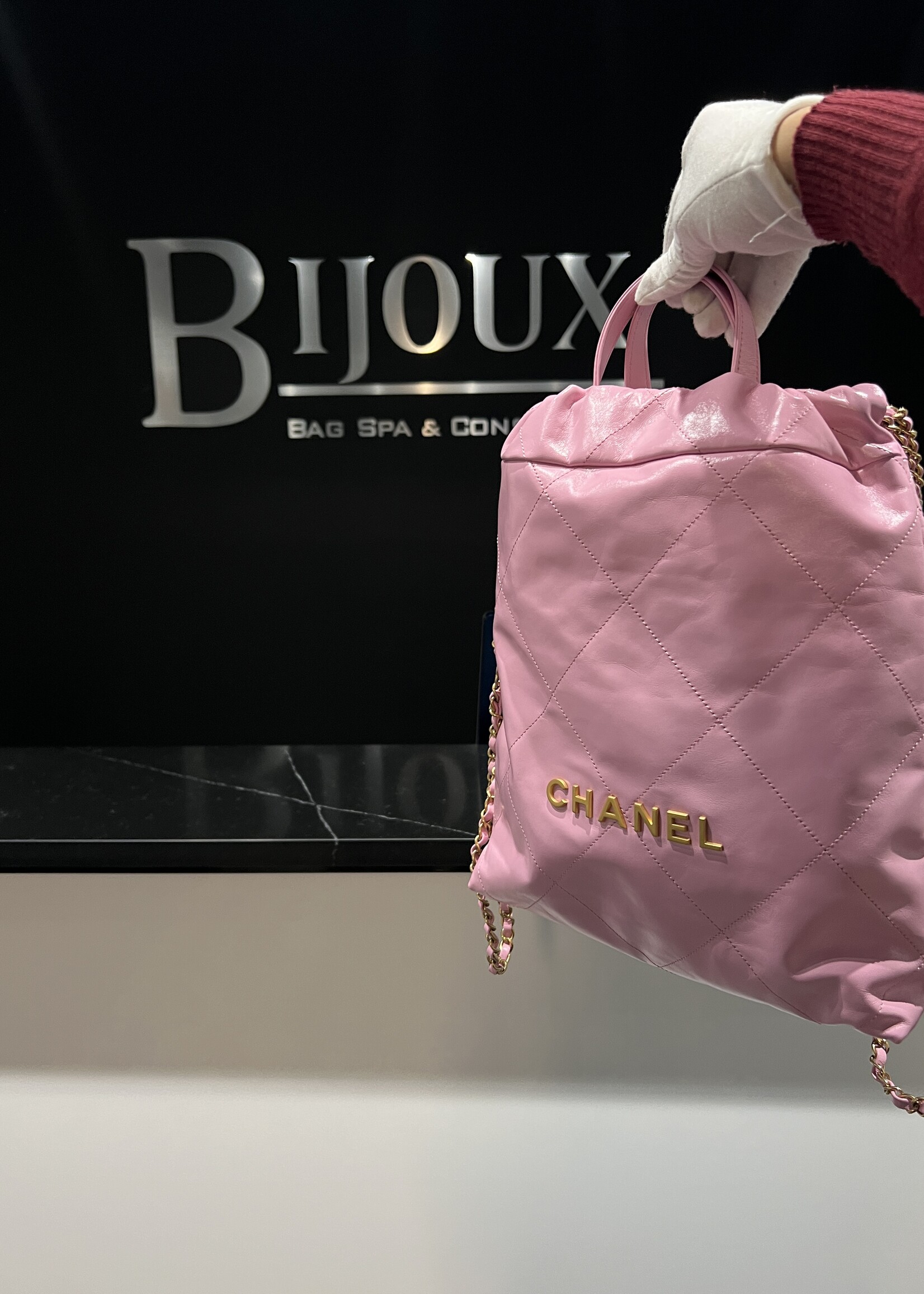 Chanel Chanel BackPack 22