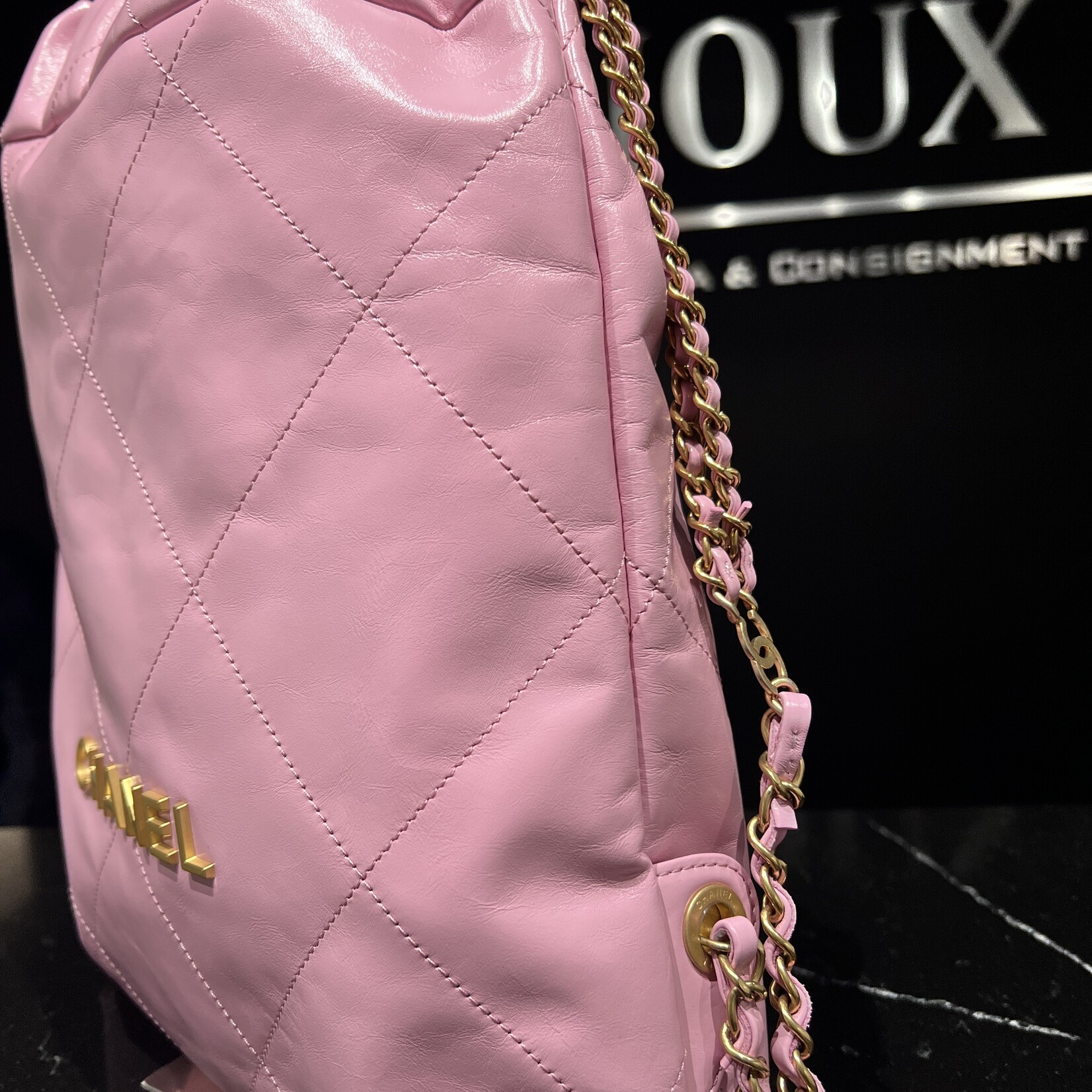 Chanel Chanel BackPack 22