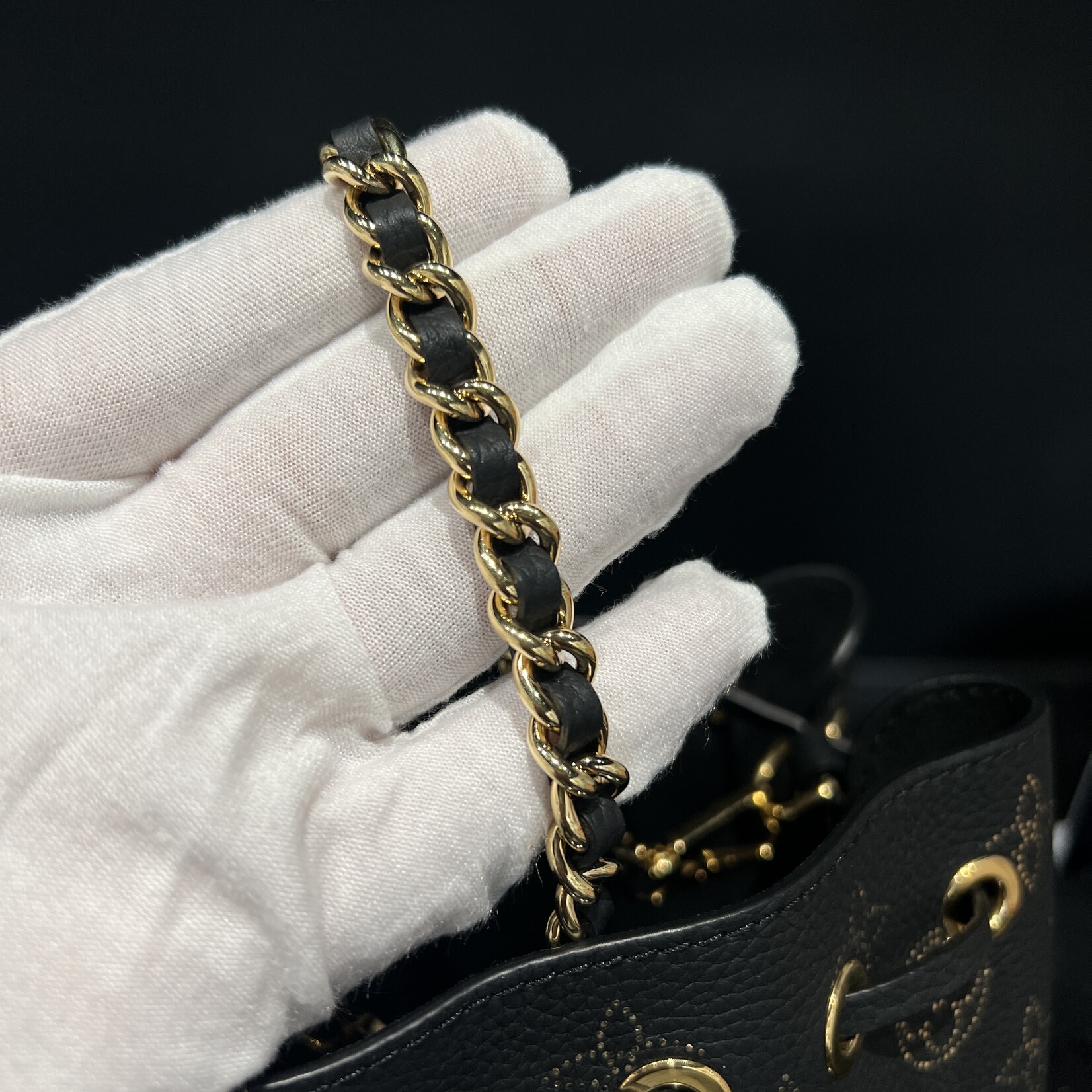 Louis Vuitton Louis Vuitton Pico Bella Mahina