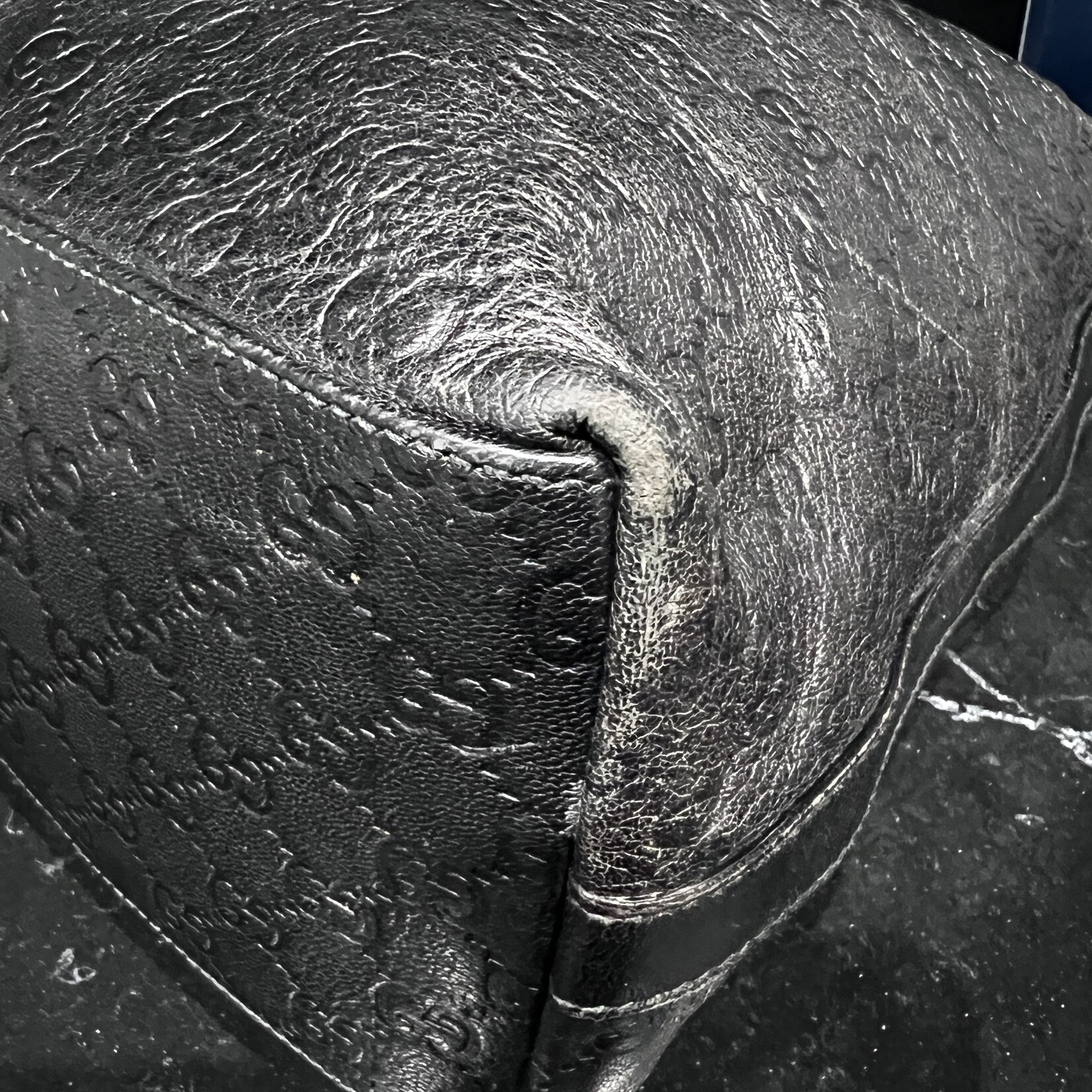 Gucci Gucci Hobo Guccissima