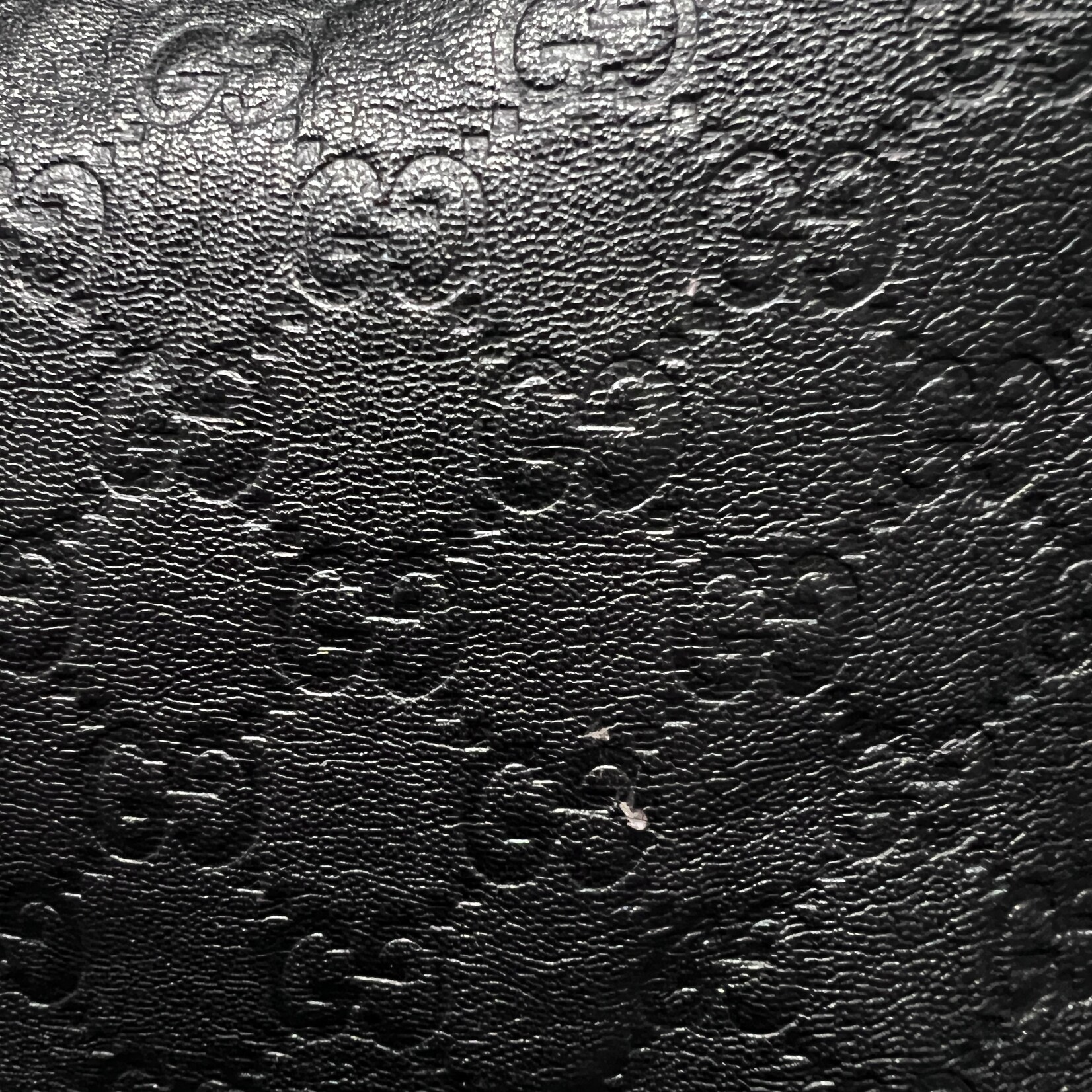 Gucci Gucci Hobo Guccissima