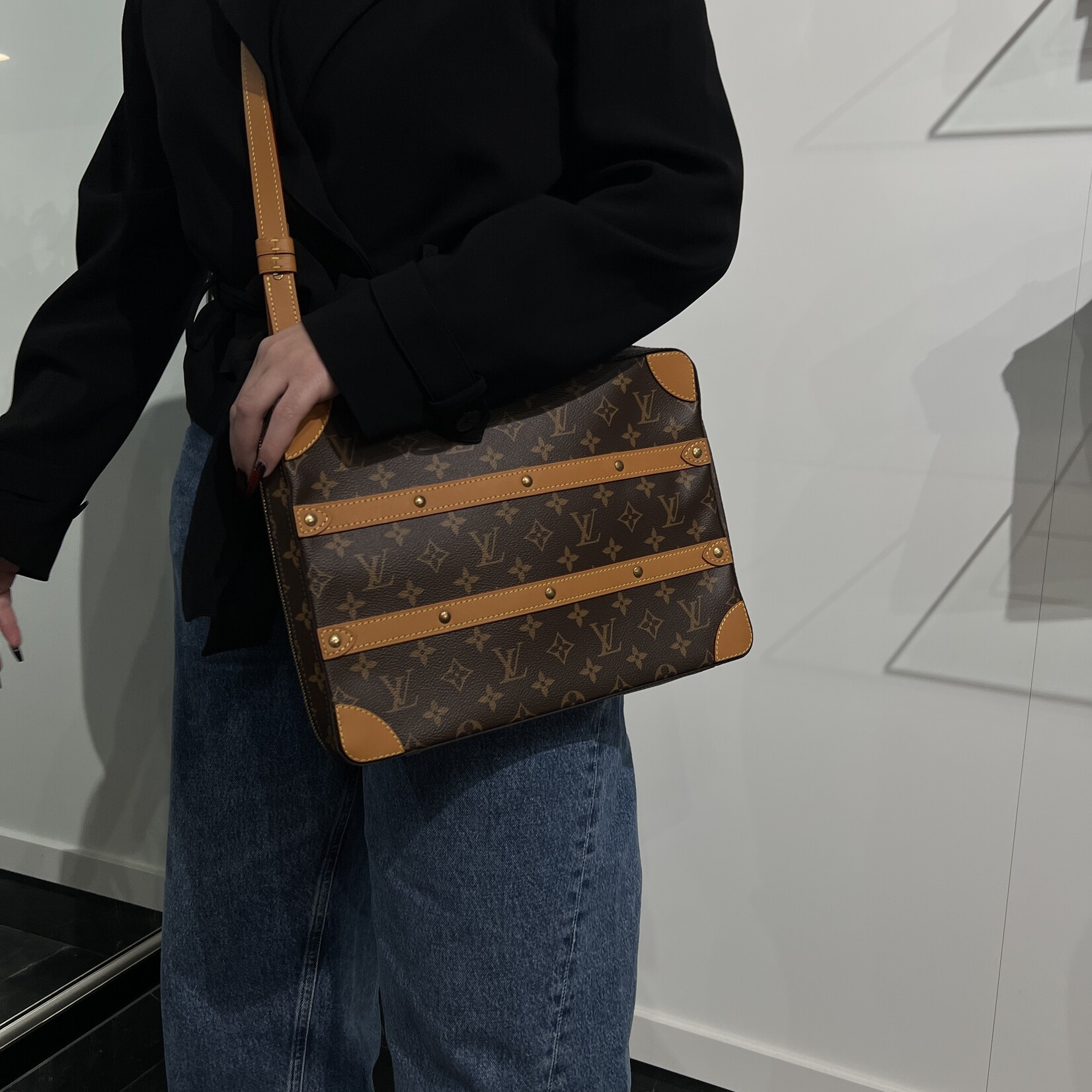 Louis Vuitton Louis Vuitton Soft Trunk