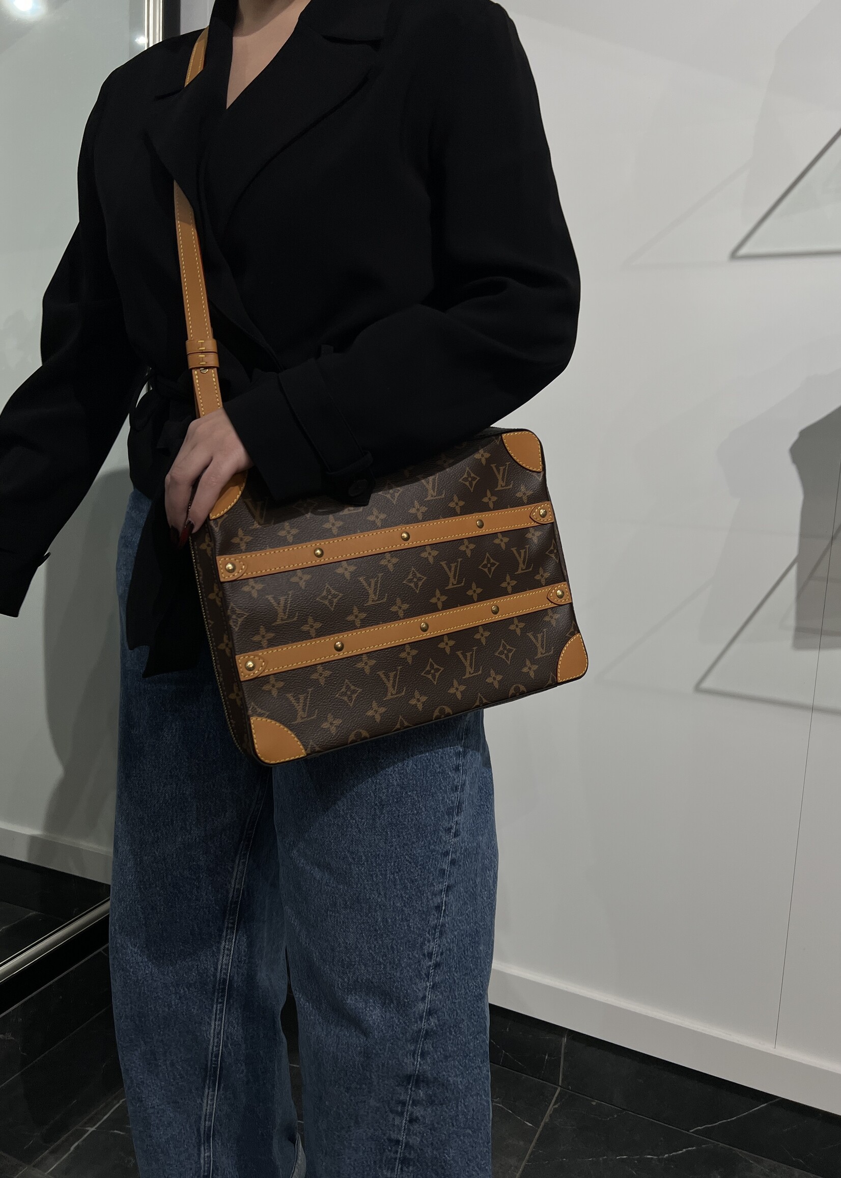 Louis Vuitton Louis Vuitton Soft Trunk