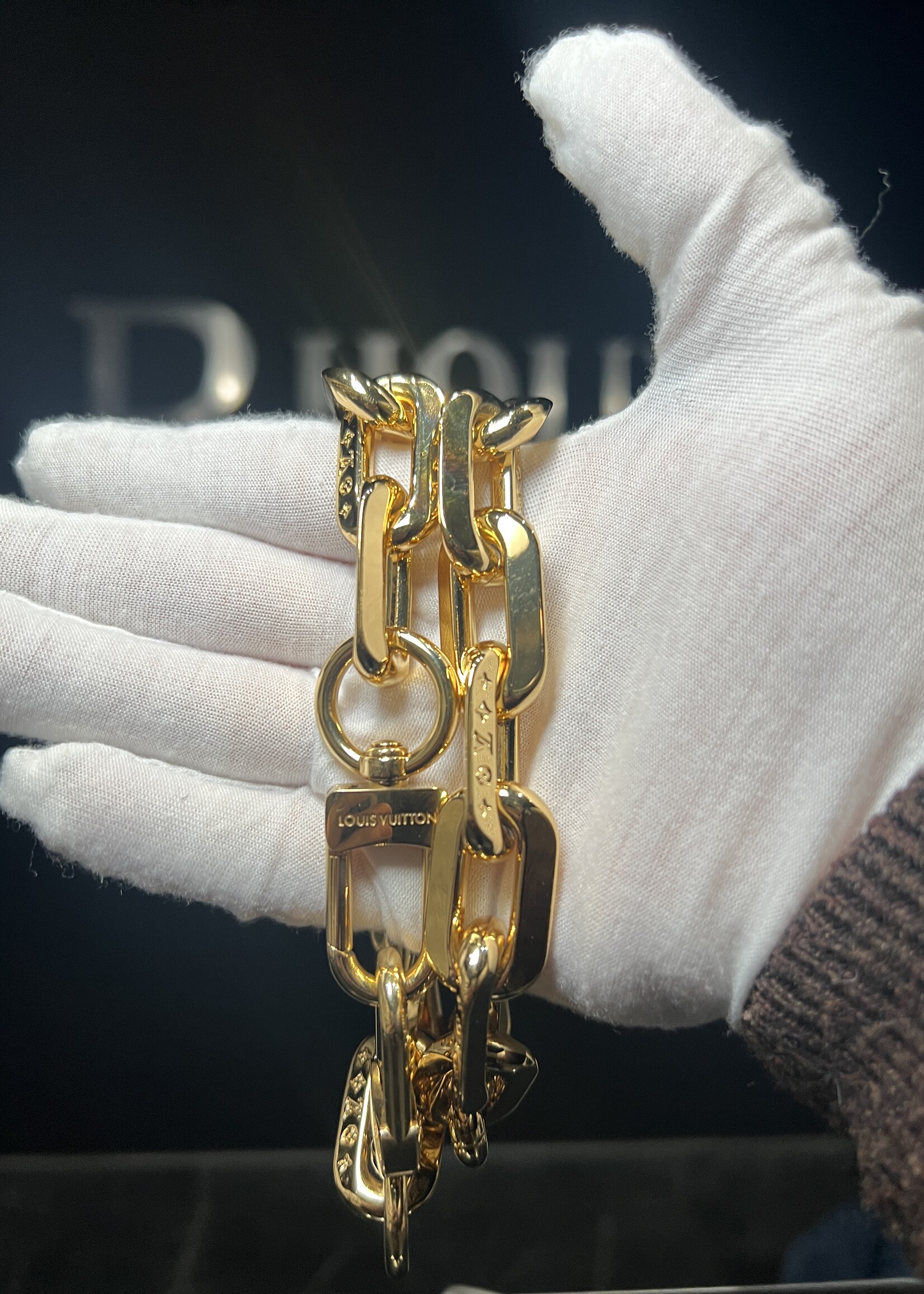 Louis Vuitton Louis Vuitton Embossed Monogram Coussin PM