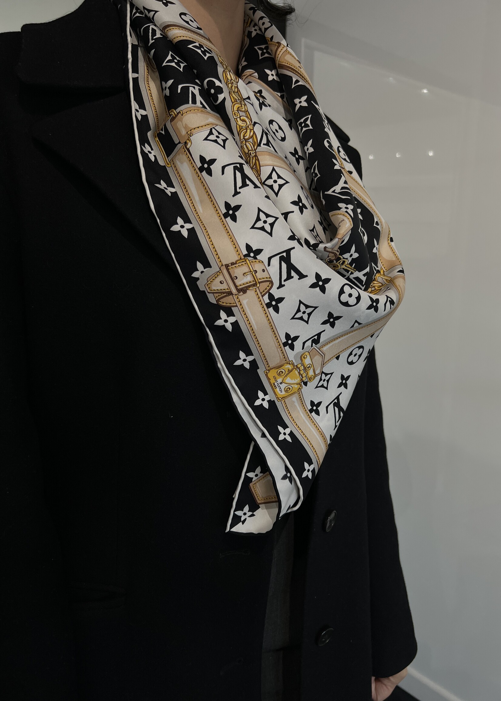 Louis Vuitton SOLD - Louis Vuitton Confidential Scarf