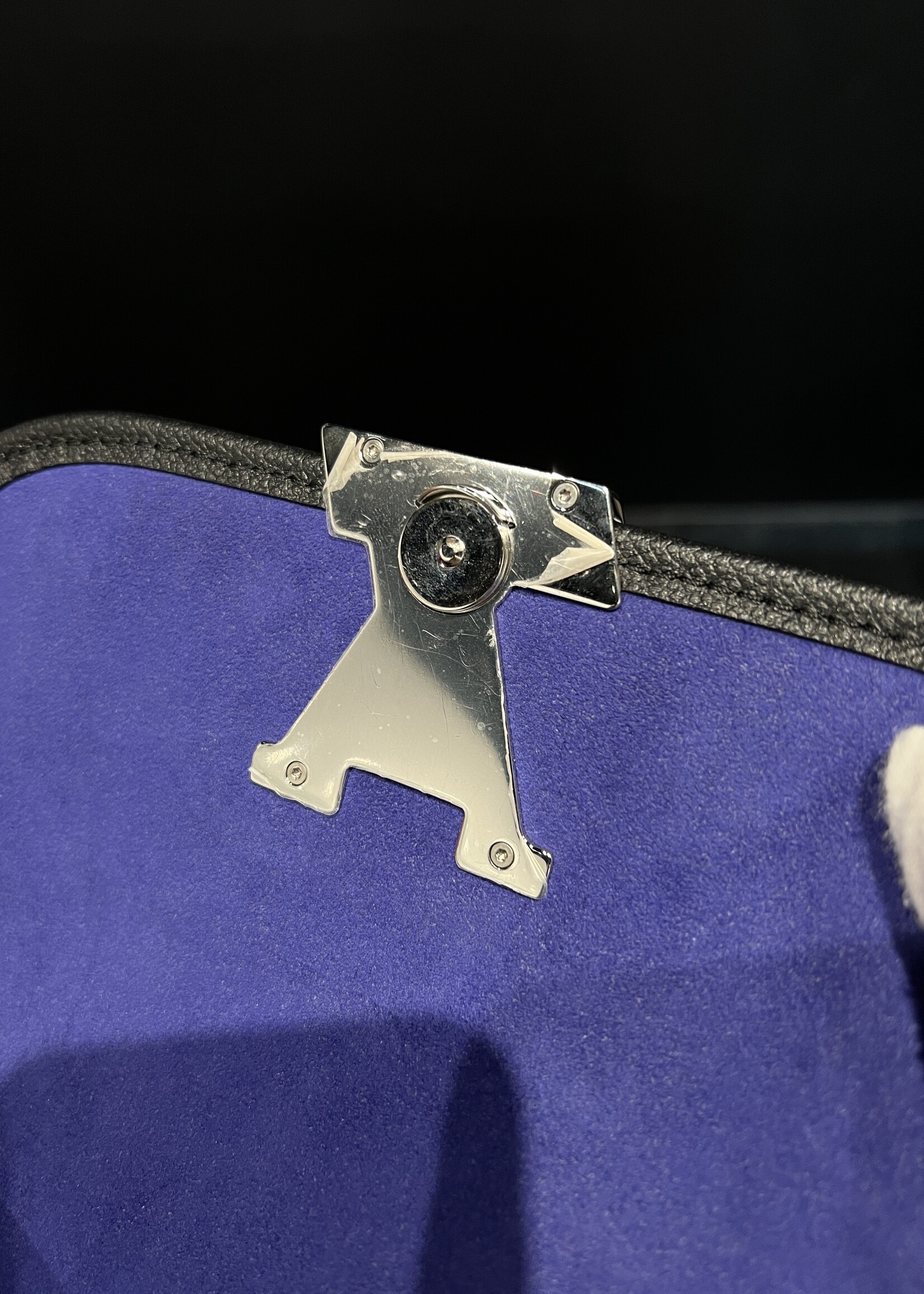 Louis Vuitton Louis Vuitton Buci Bag