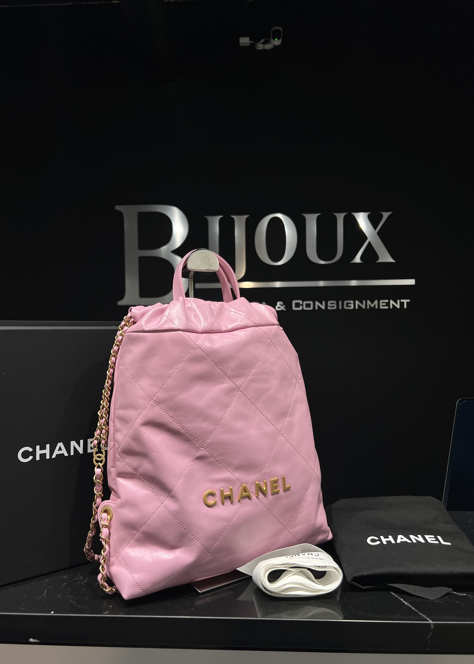 Chanel Chanel 22 Backpack