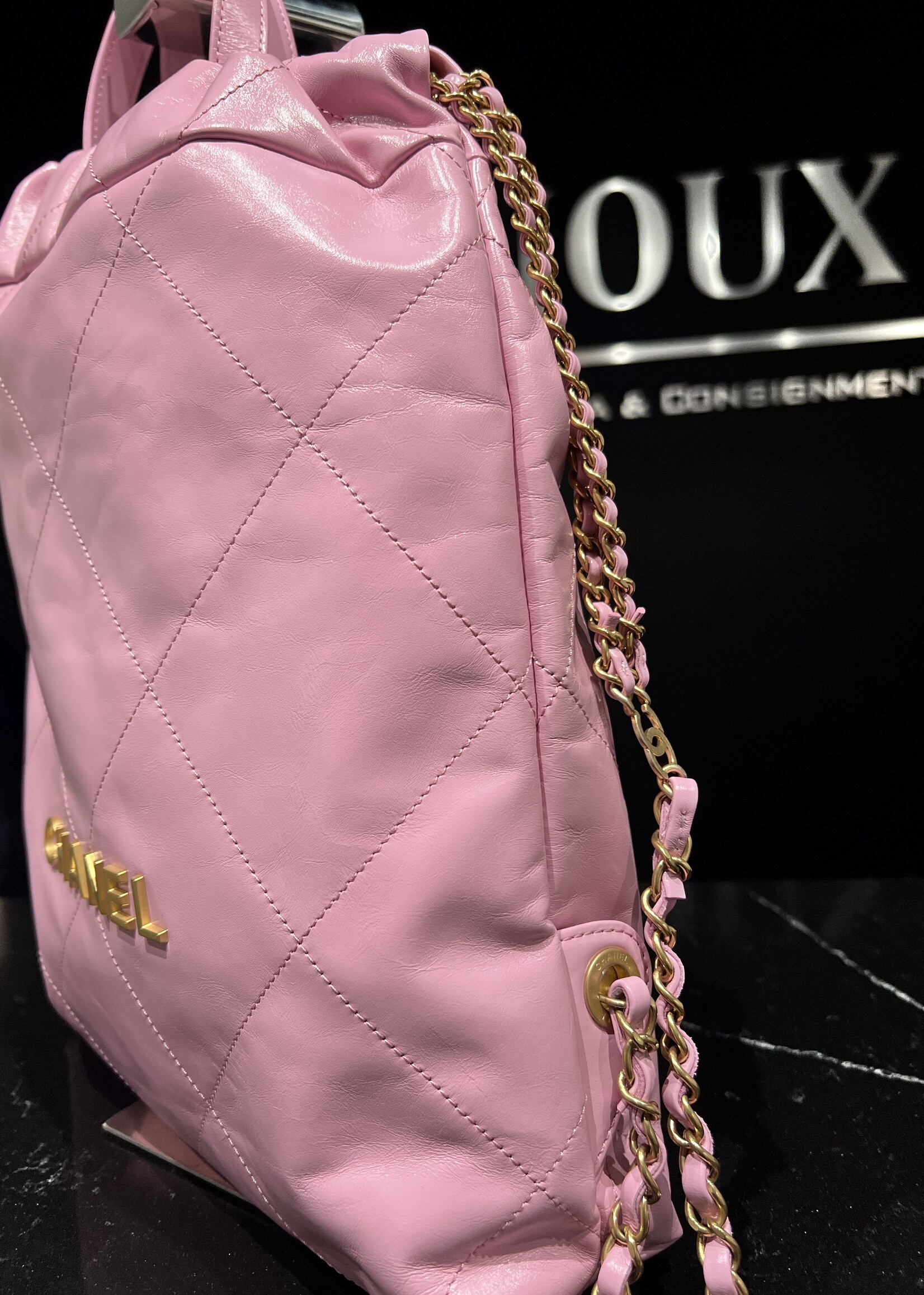 Chanel Chanel 22 Backpack