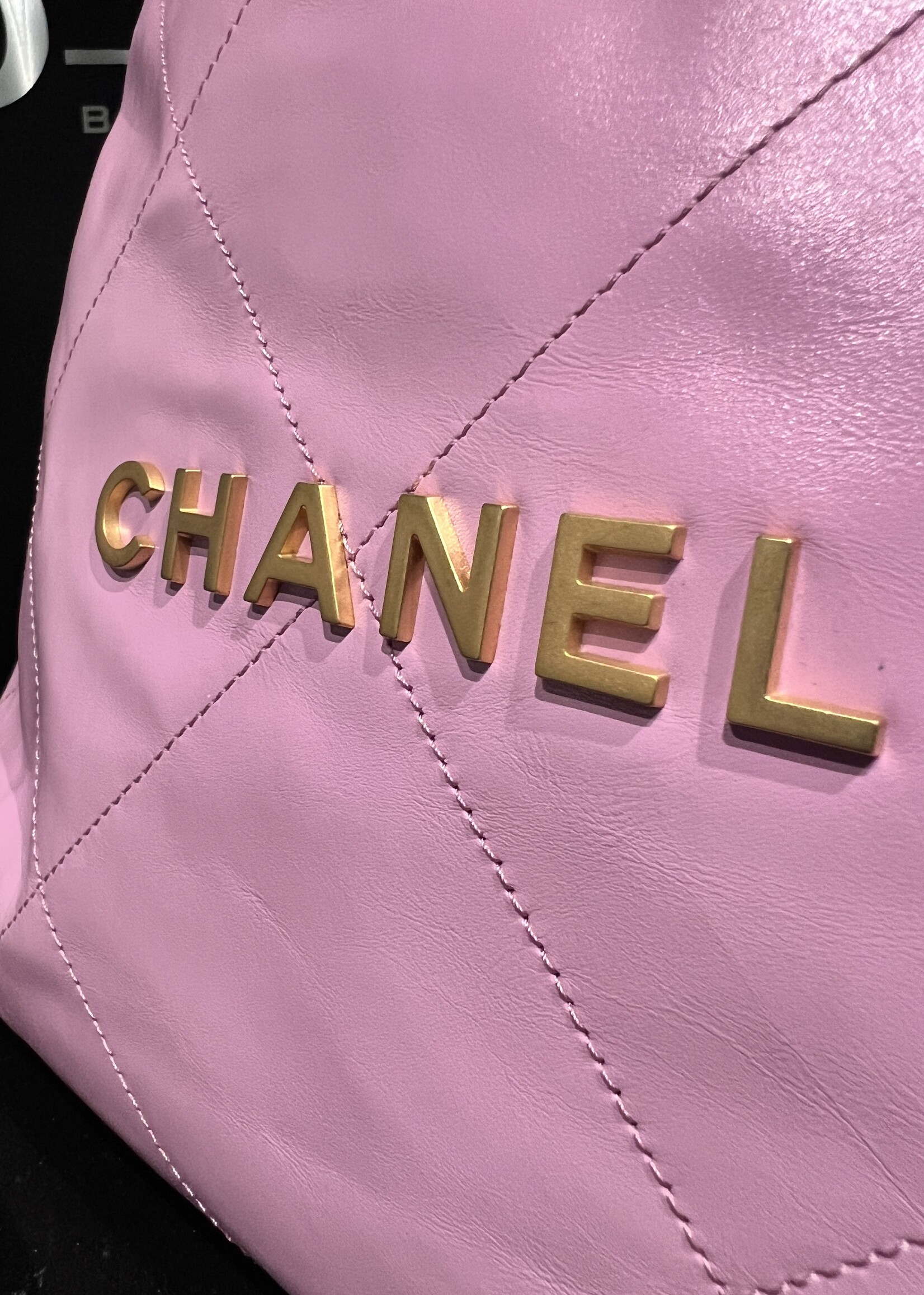 Chanel Chanel 22 Backpack