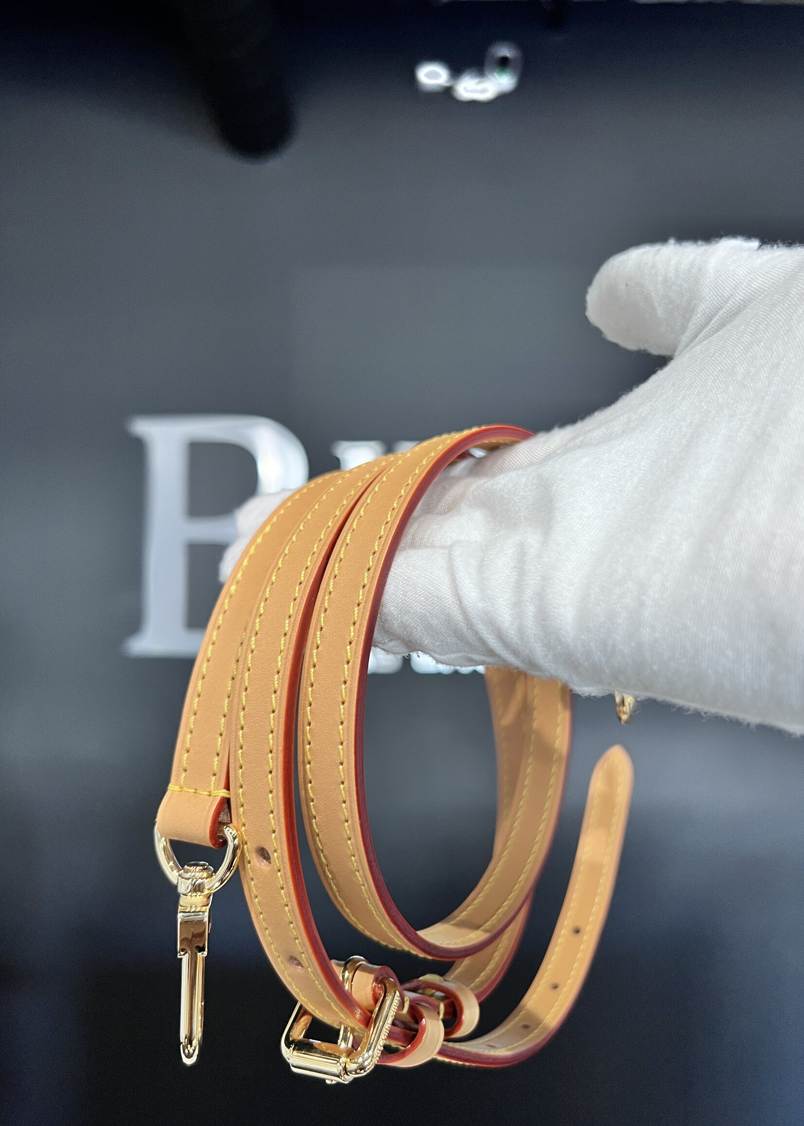 Louis Vuitton Louis Vuitton Side Trunk