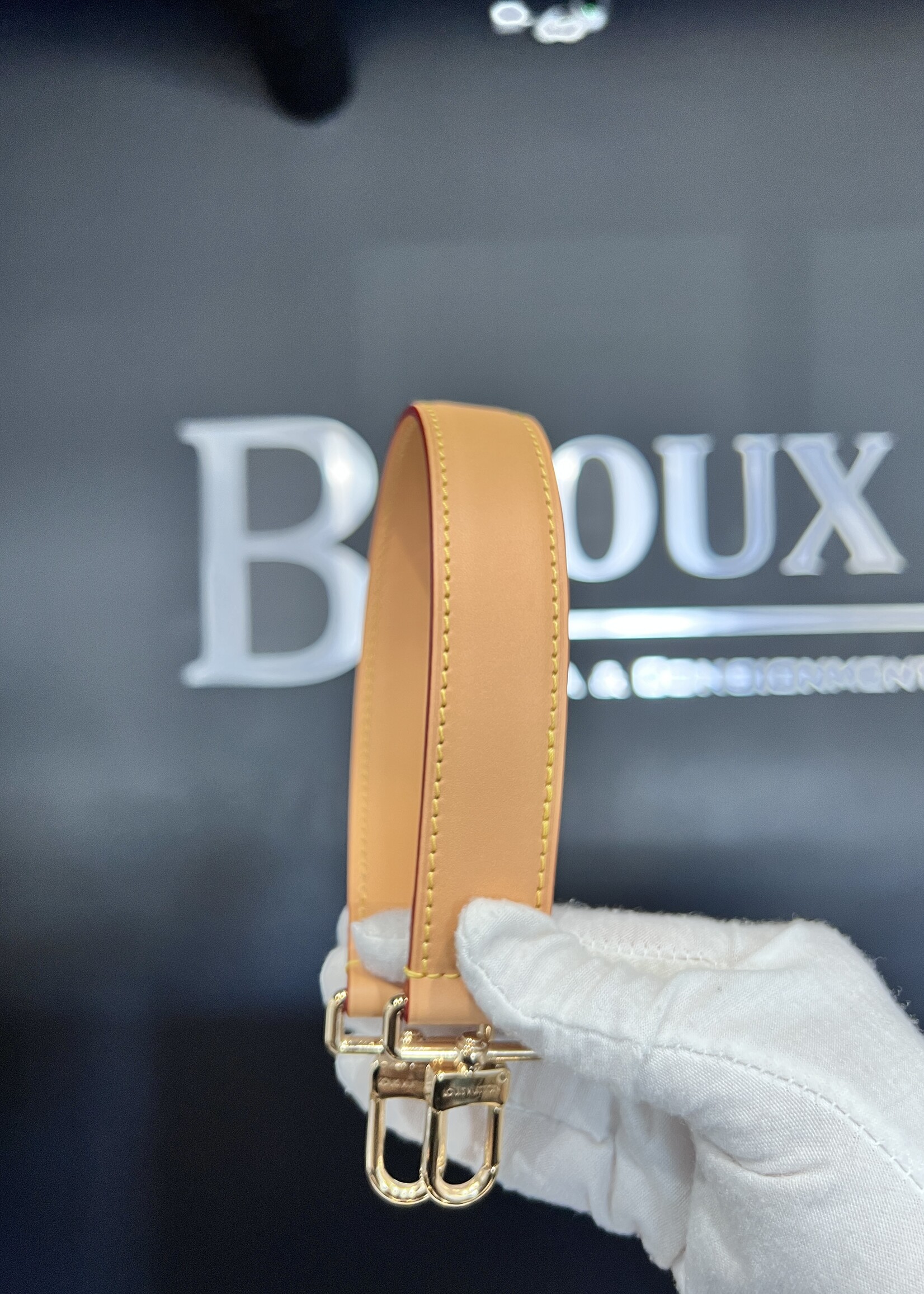 Louis Vuitton Louis Vuitton Side Trunk