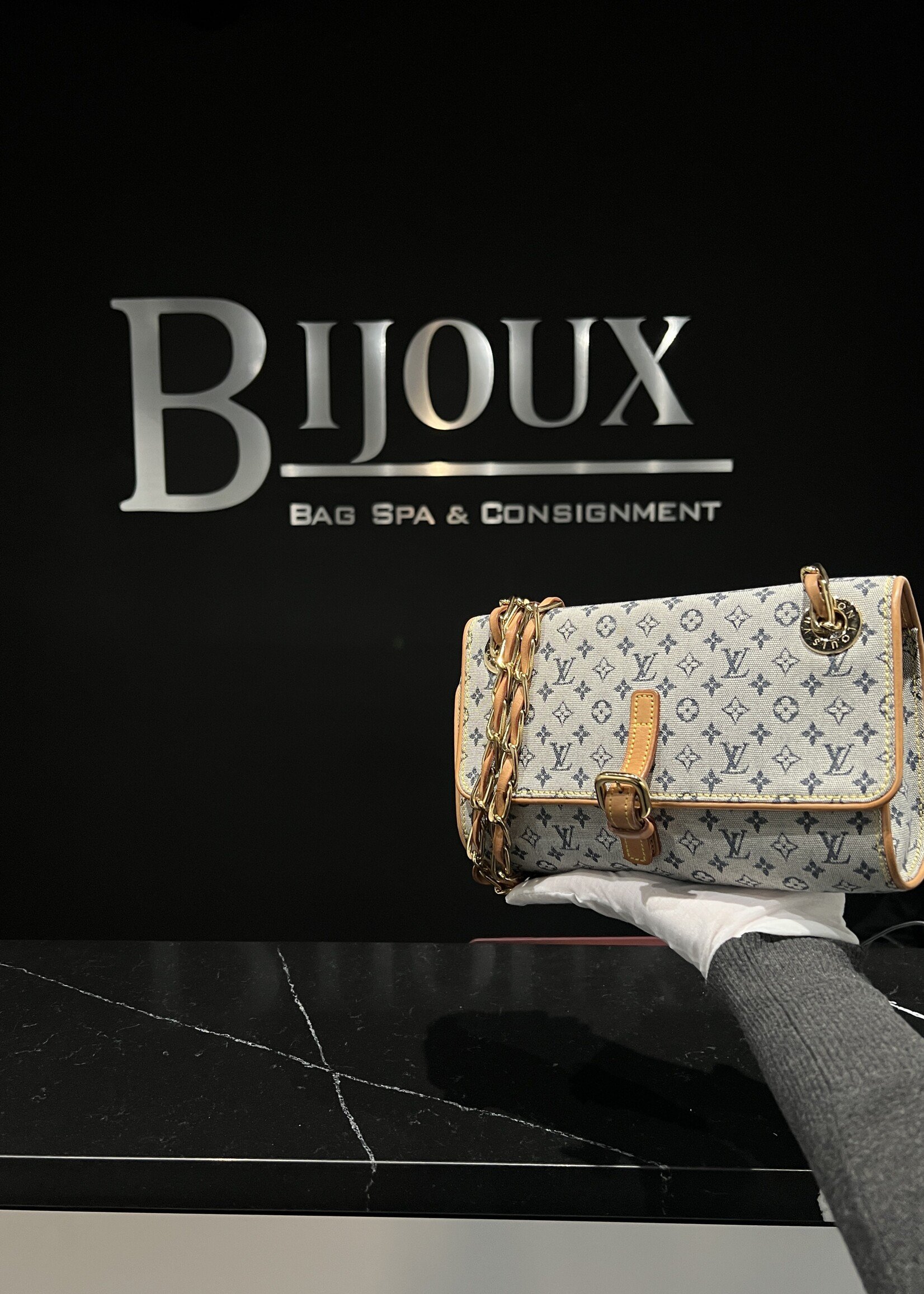 Louis Vuitton Louis Vuitton Camille Bag