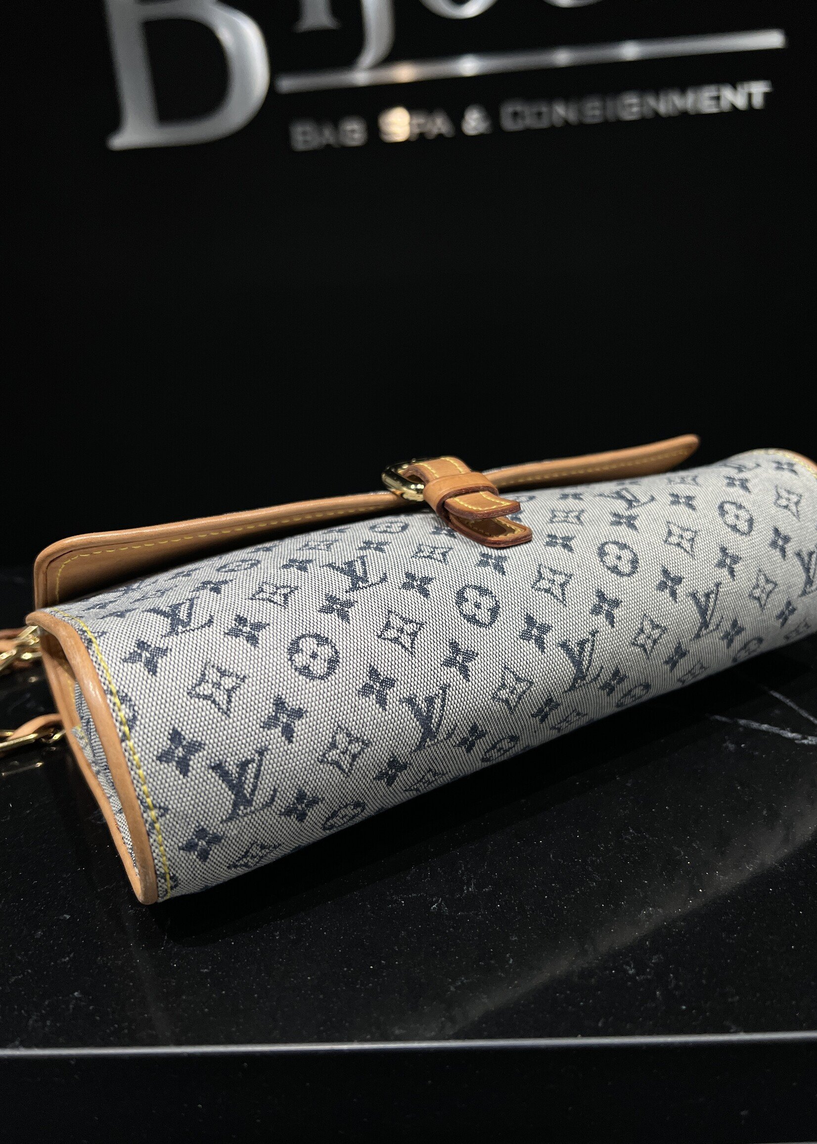 Louis Vuitton Louis Vuitton Camille Bag