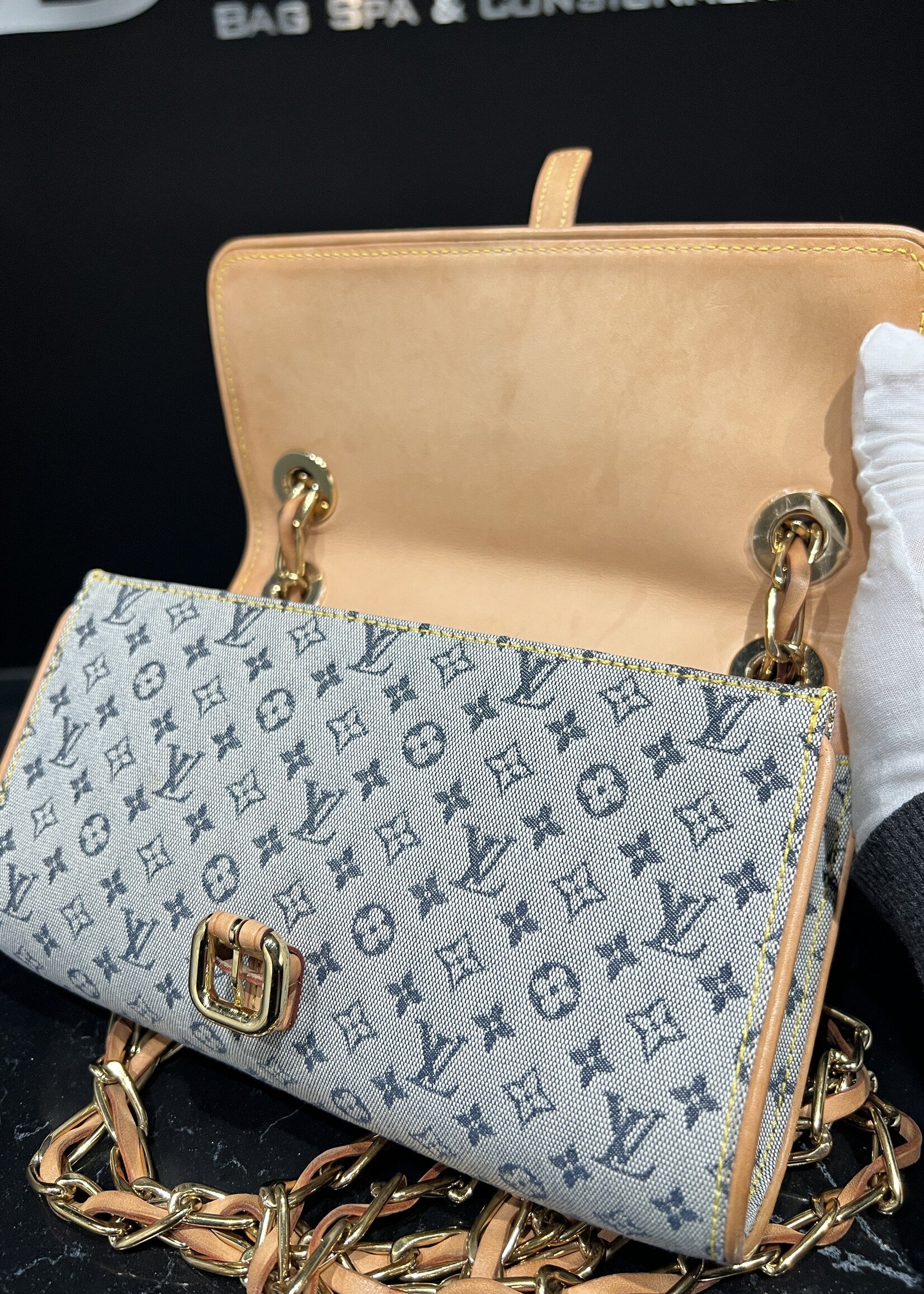 Louis Vuitton Louis Vuitton Camille Bag