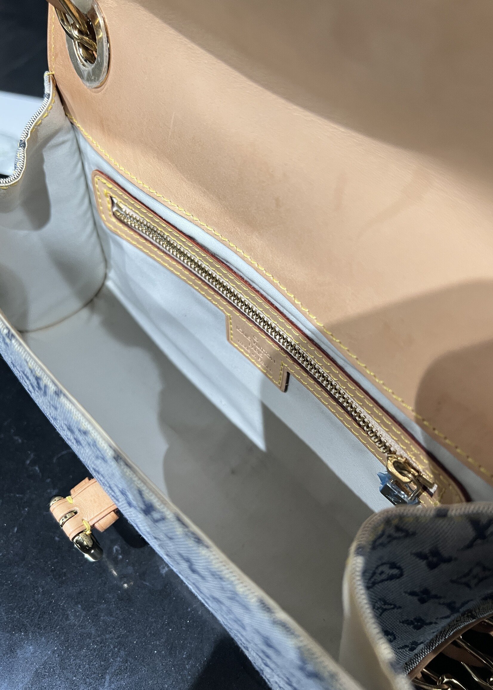 Louis Vuitton Louis Vuitton Camille Bag
