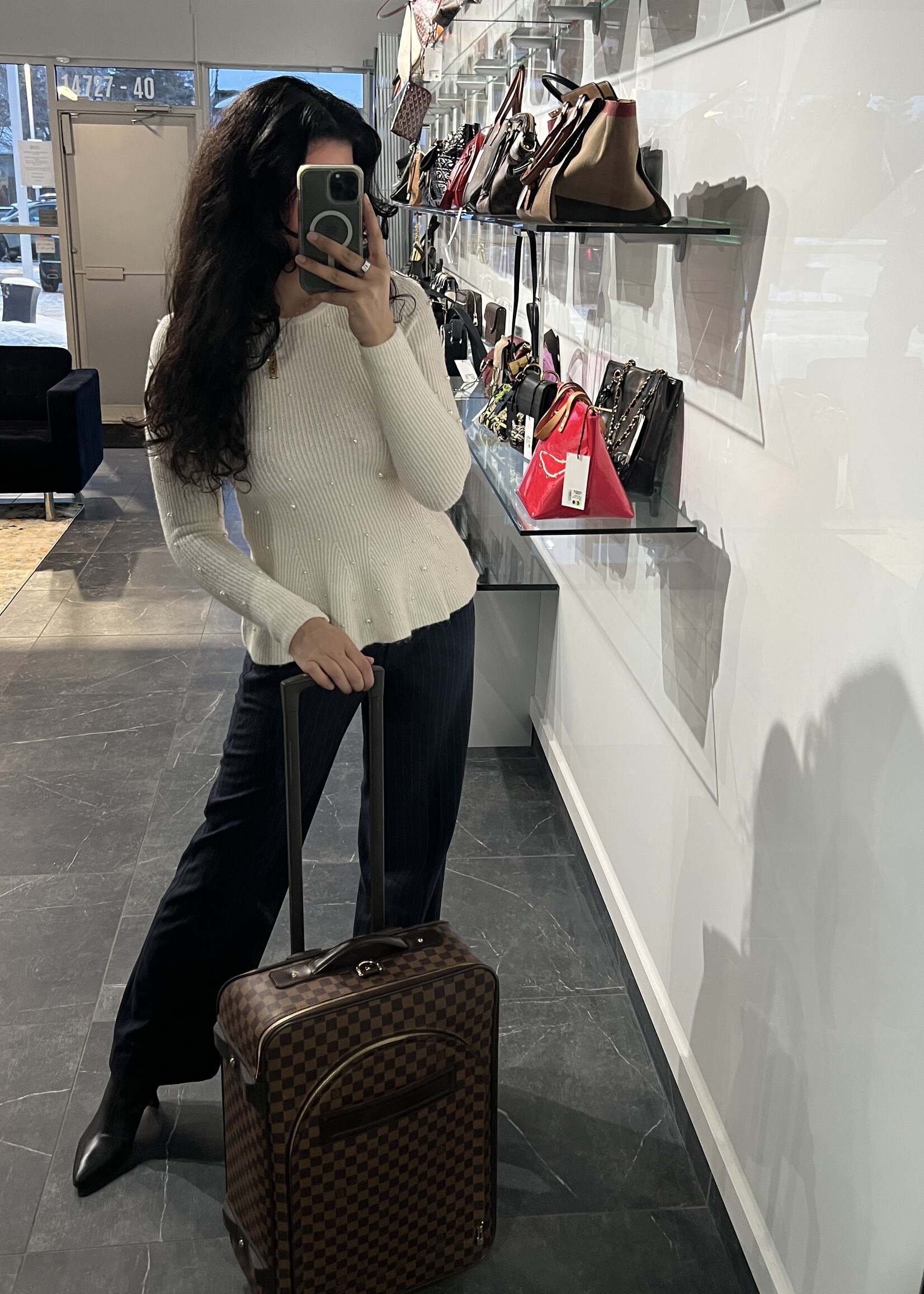 Louis Vuitton Louis Vuitton Pegases 55 Damier Ebene