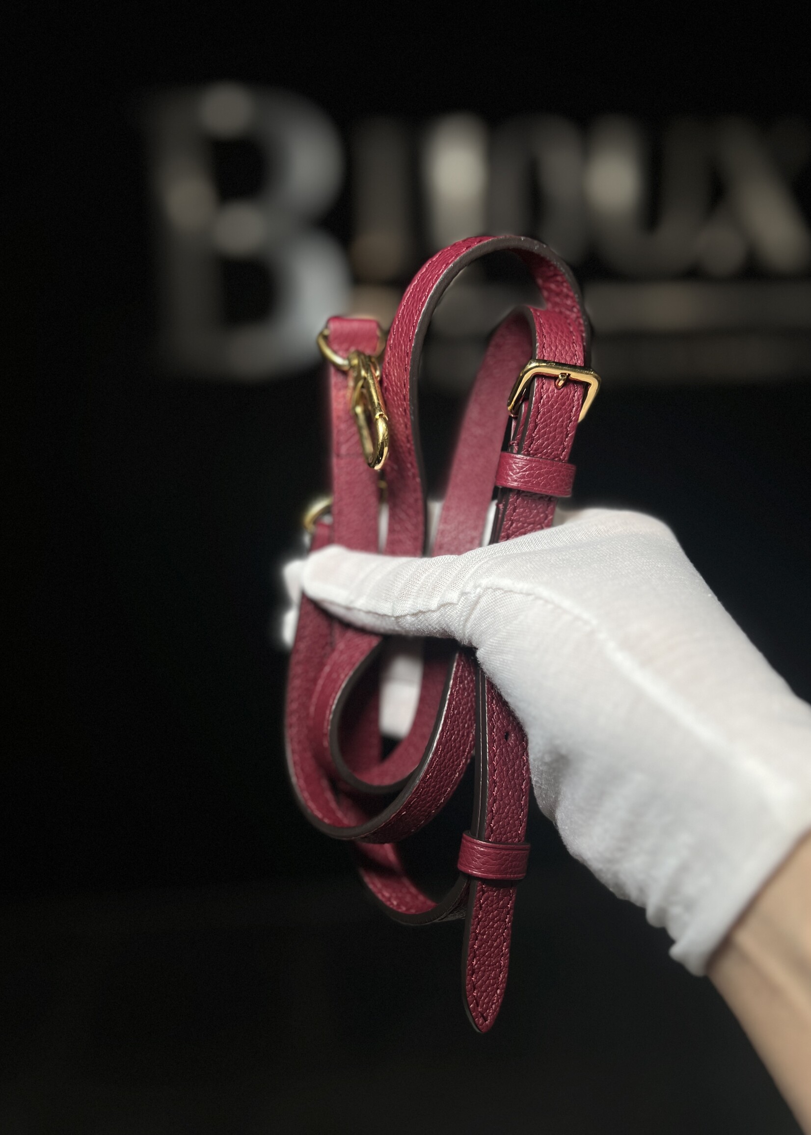 Louis Vuitton Louis Vuitton Clapton Burgundy