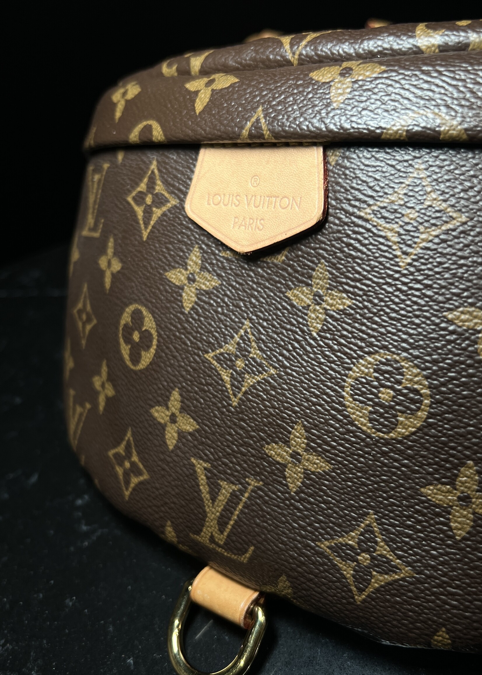 Louis Vuitton Louis Vuitton Monogram Bum Bag