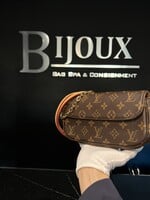 Louis Vuitton Louis Vuitton Ivy Monogram WOC