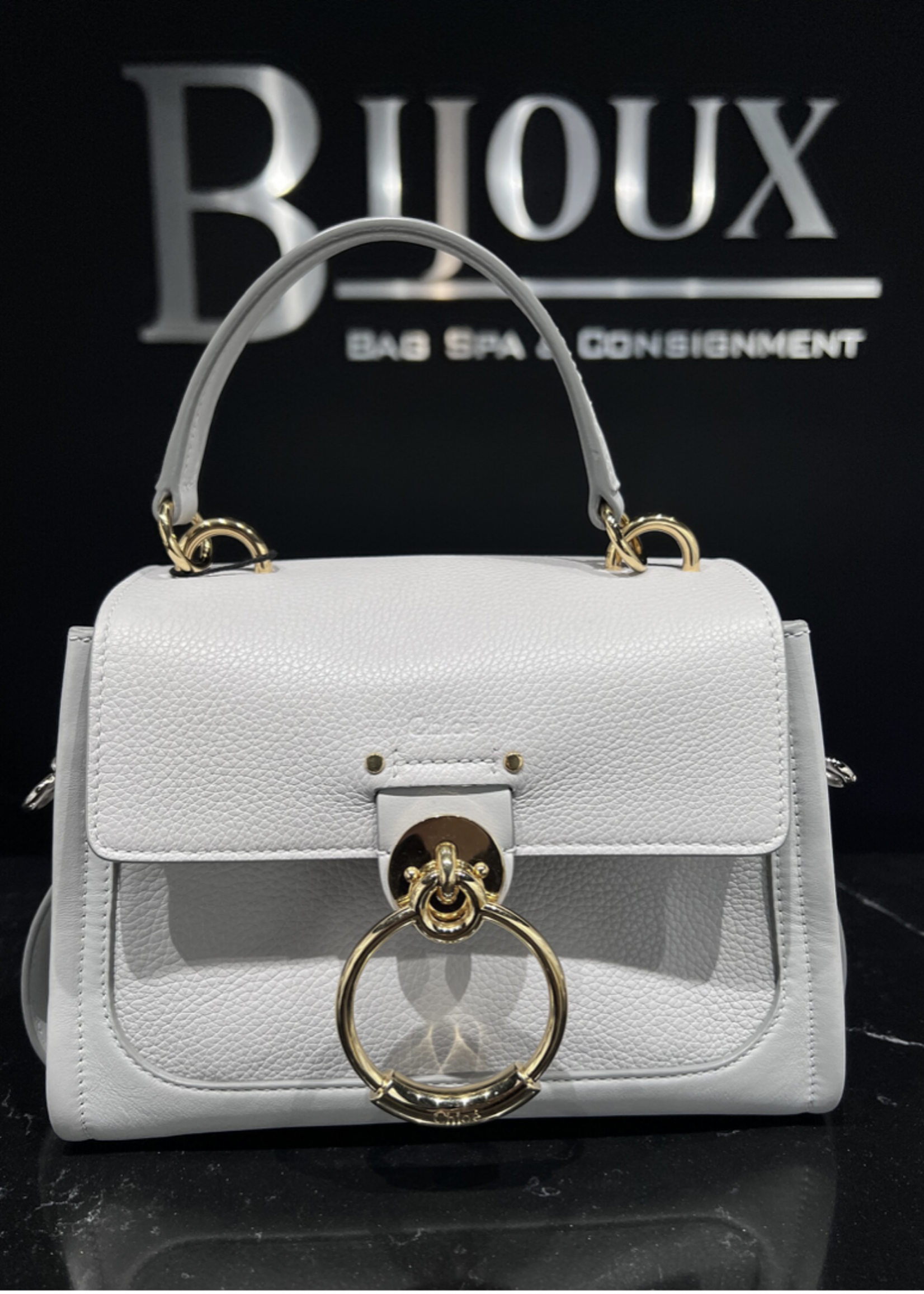 Chloe SOLD - Chloe Mini Grey TessDay