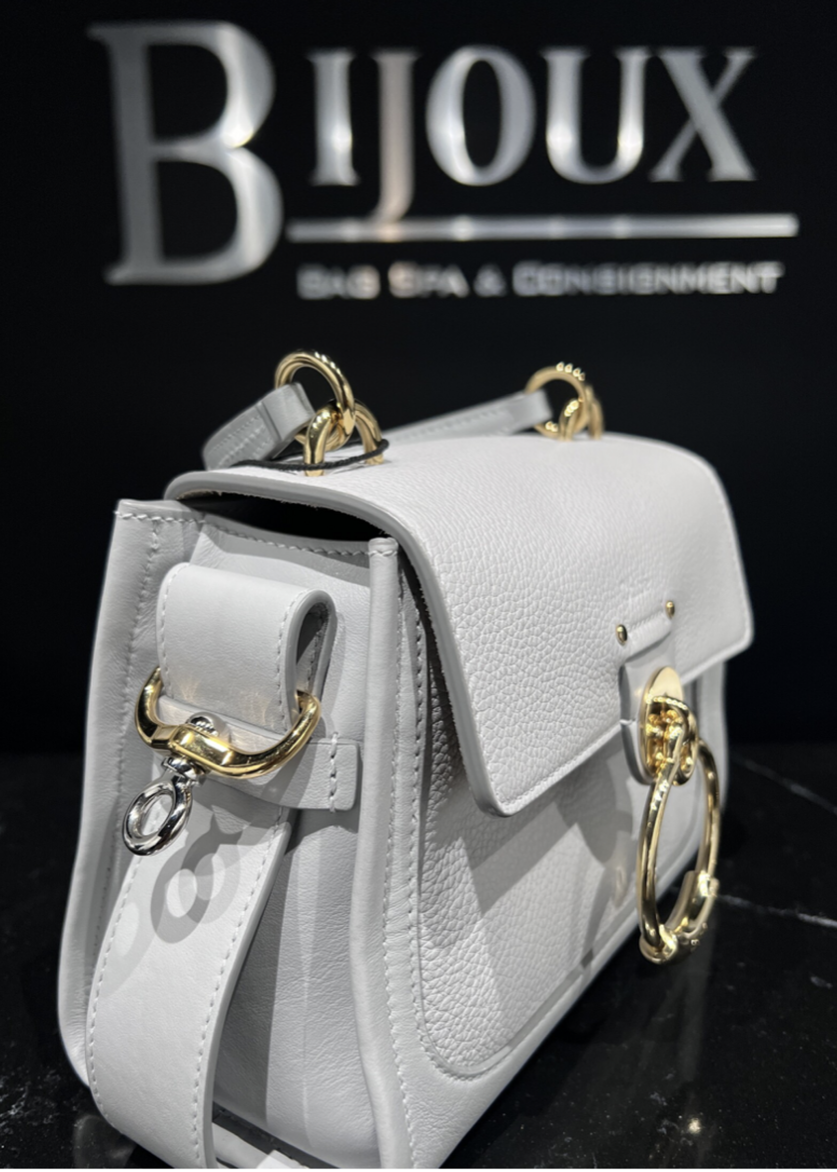 Chloe SOLD - Chloe Mini Grey TessDay