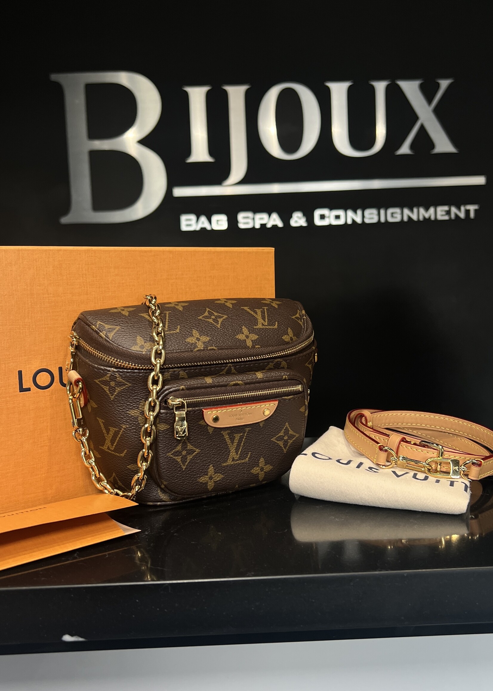 Louis Vuitton Louis Vuitton Monogram Mini Bum Bag
